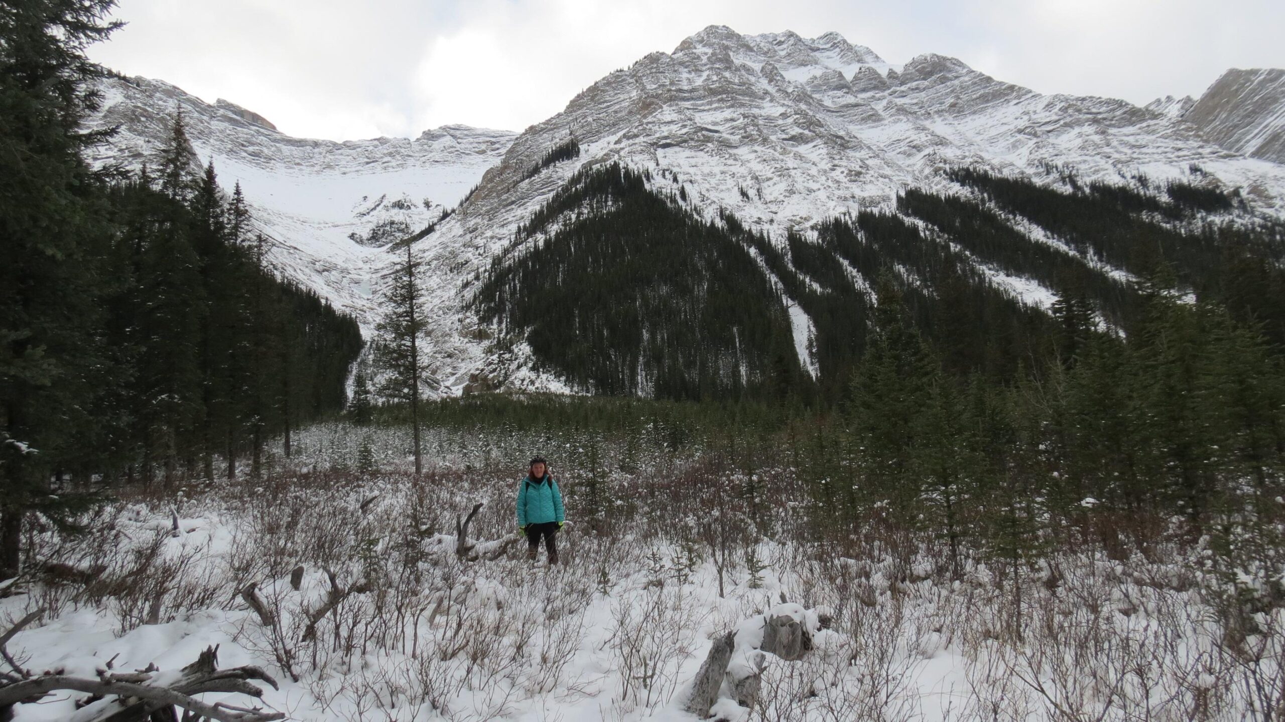 A person stands in a snowy landscape surrounded by coniferous trees and mountains in the background. The mountainous area is partially covered in snow, under a cloudy sky. The individual is wearing a bright turquoise jacket and is positioned among the sparse vegetation in the foreground. Jacques Lake mountain bike trail.