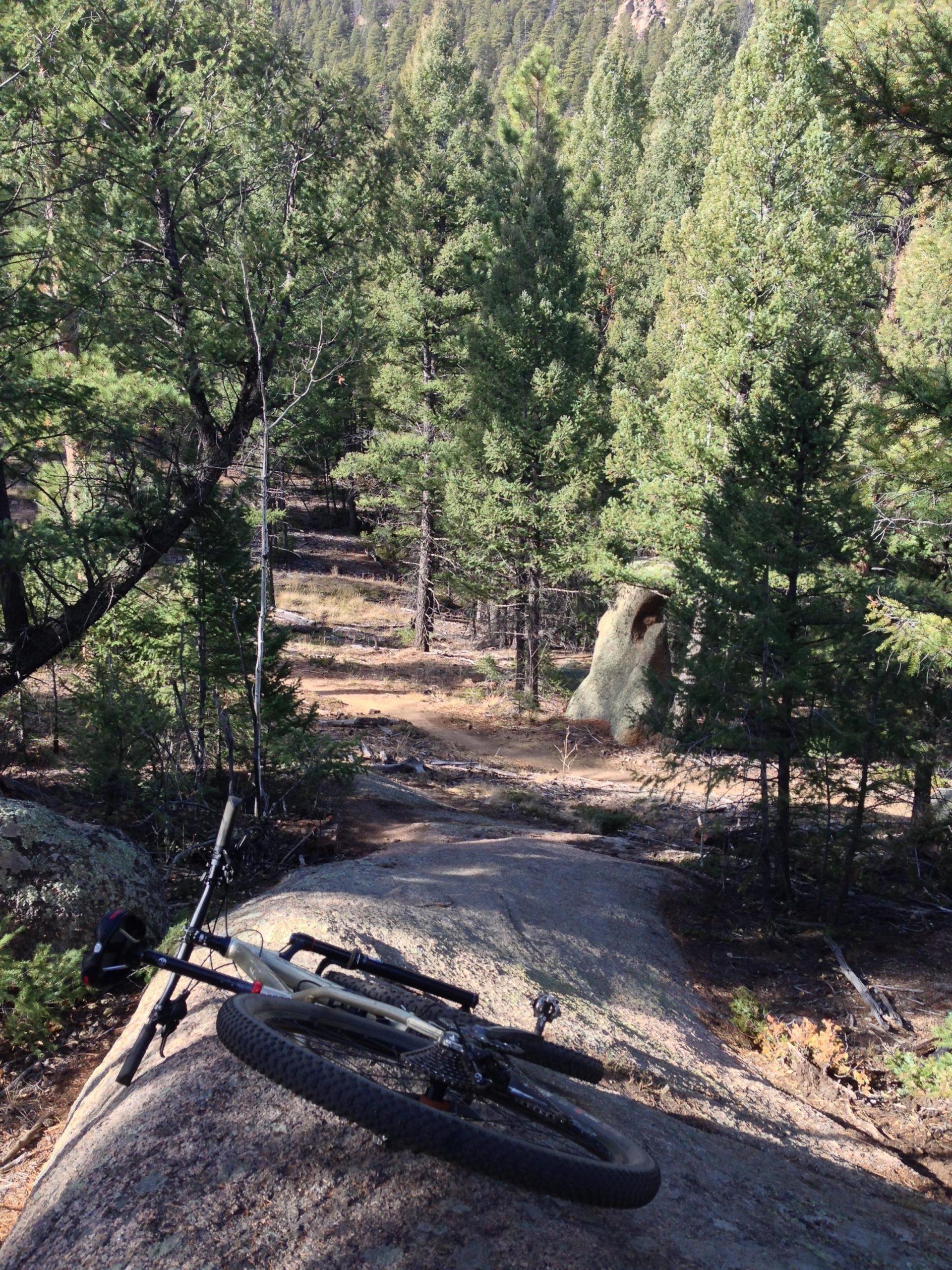 A mountain bike leaning against a large rock in a dense forest, surrounded by tall pine trees and a dirt trail visible in the background. The scene captures a sunny day in a natural outdoor setting. Little Scraggy mountain bike trail.
