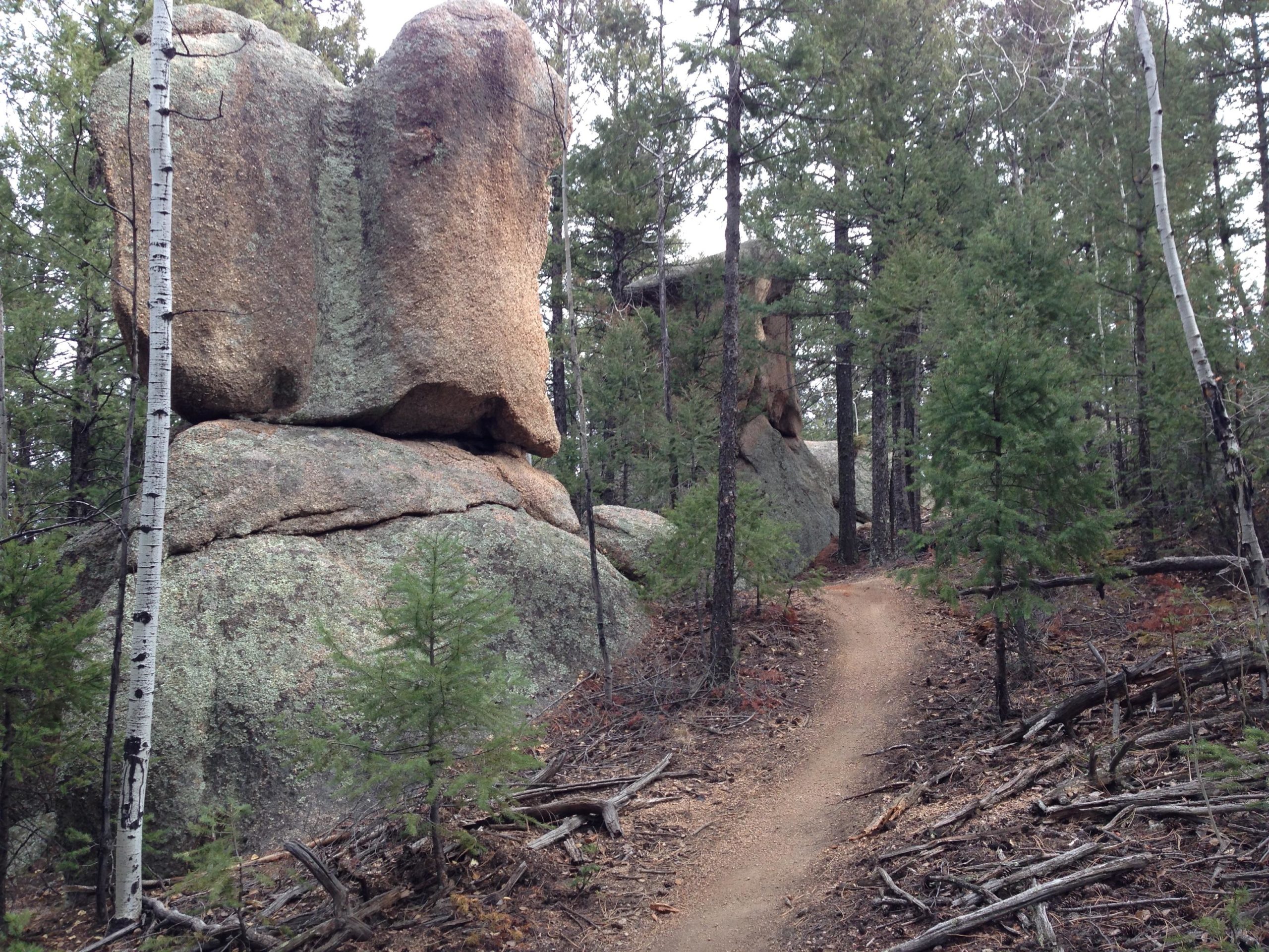 A winding dirt path through a forest setting, flanked by tall trees and large boulders. The scene features rugged rock formations partially covered with moss, creating a natural focal point amidst the greenery. The trail leads deeper into the woodlands, inviting exploration. Little Scraggy mountain bike trail.
