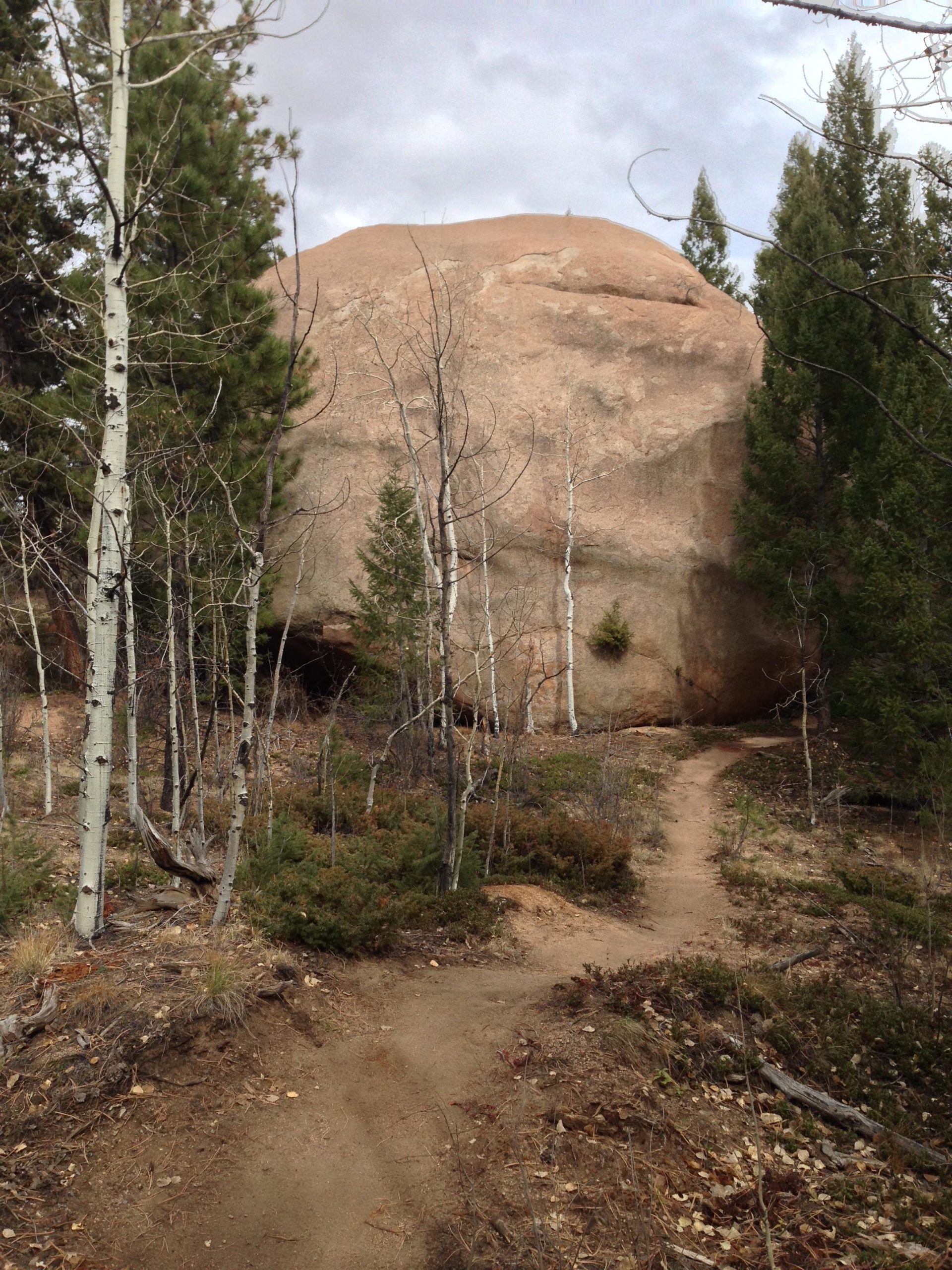 A large boulder rises prominently amidst a forested area, surrounded by trees and shrubs. A dirt path winds its way through the landscape, leading towards the rock formation. The sky is partly cloudy, adding a natural ambiance to the scene. Little Scraggy mountain bike trail.