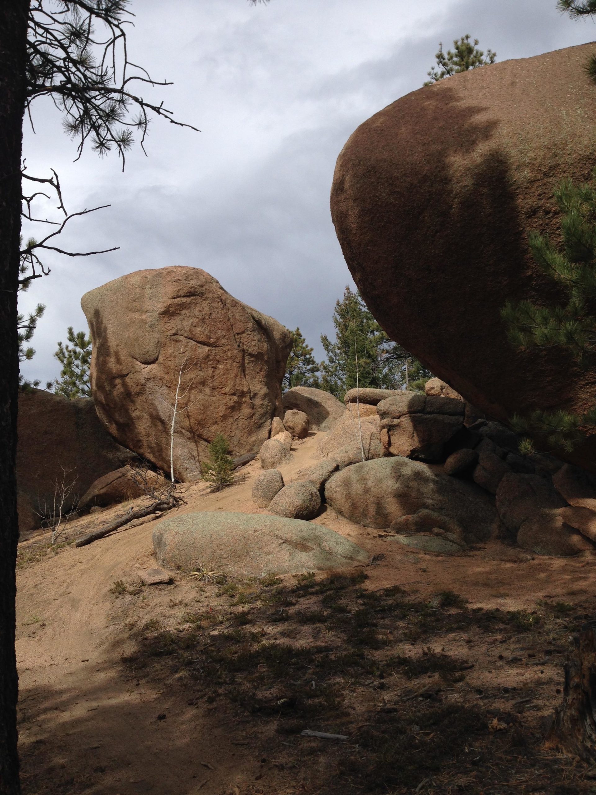 A rocky landscape featuring large boulders and scattered smaller rocks, surrounded by pine trees. The sky above is partly cloudy, creating a subdued light in the scene. Sand and sparse vegetation cover the ground, leading into the natural formation of rocks. Little Scraggy mountain bike trail.