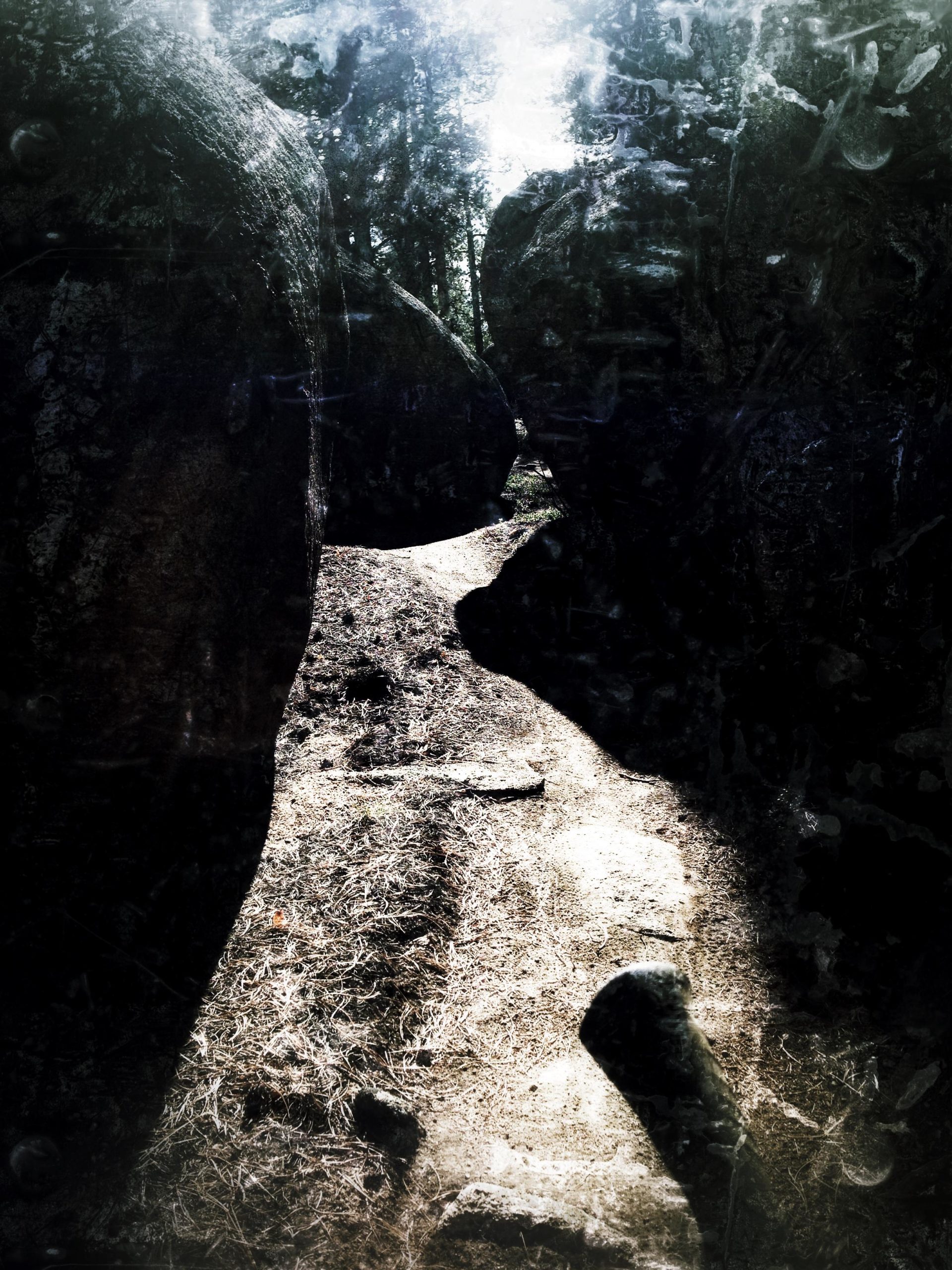Narrow path winding between large boulders in a forested area, with light filtering through the trees above, creating a play of shadows and highlights on the ground. Little Scraggy mountain bike trail.