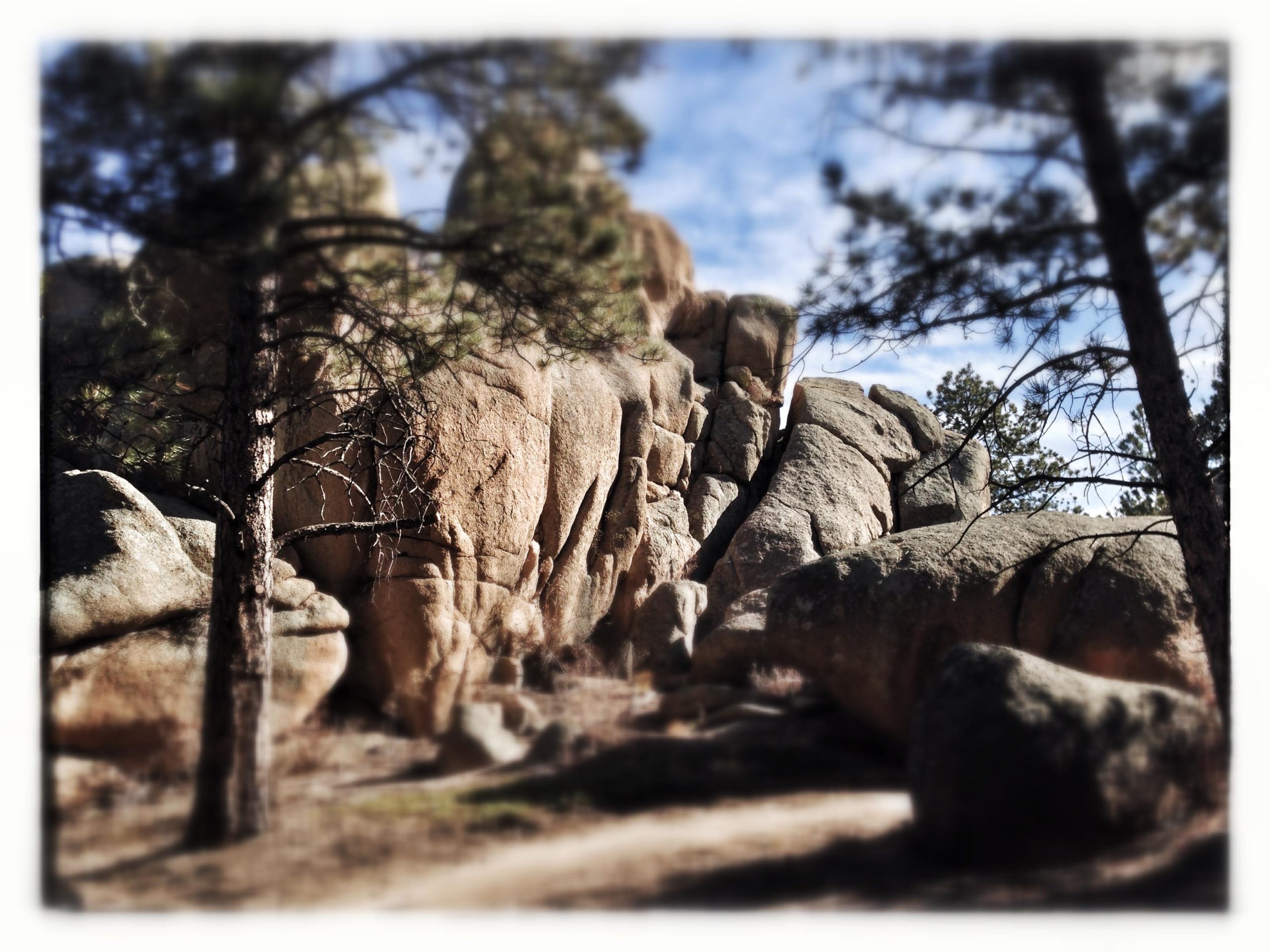 A blurred landscape featuring large rock formations surrounded by trees under a blue sky. The scene captures a natural outdoor setting, emphasizing the rugged textures of the rocks and the branches of the trees. Little Scraggy mountain bike trail.