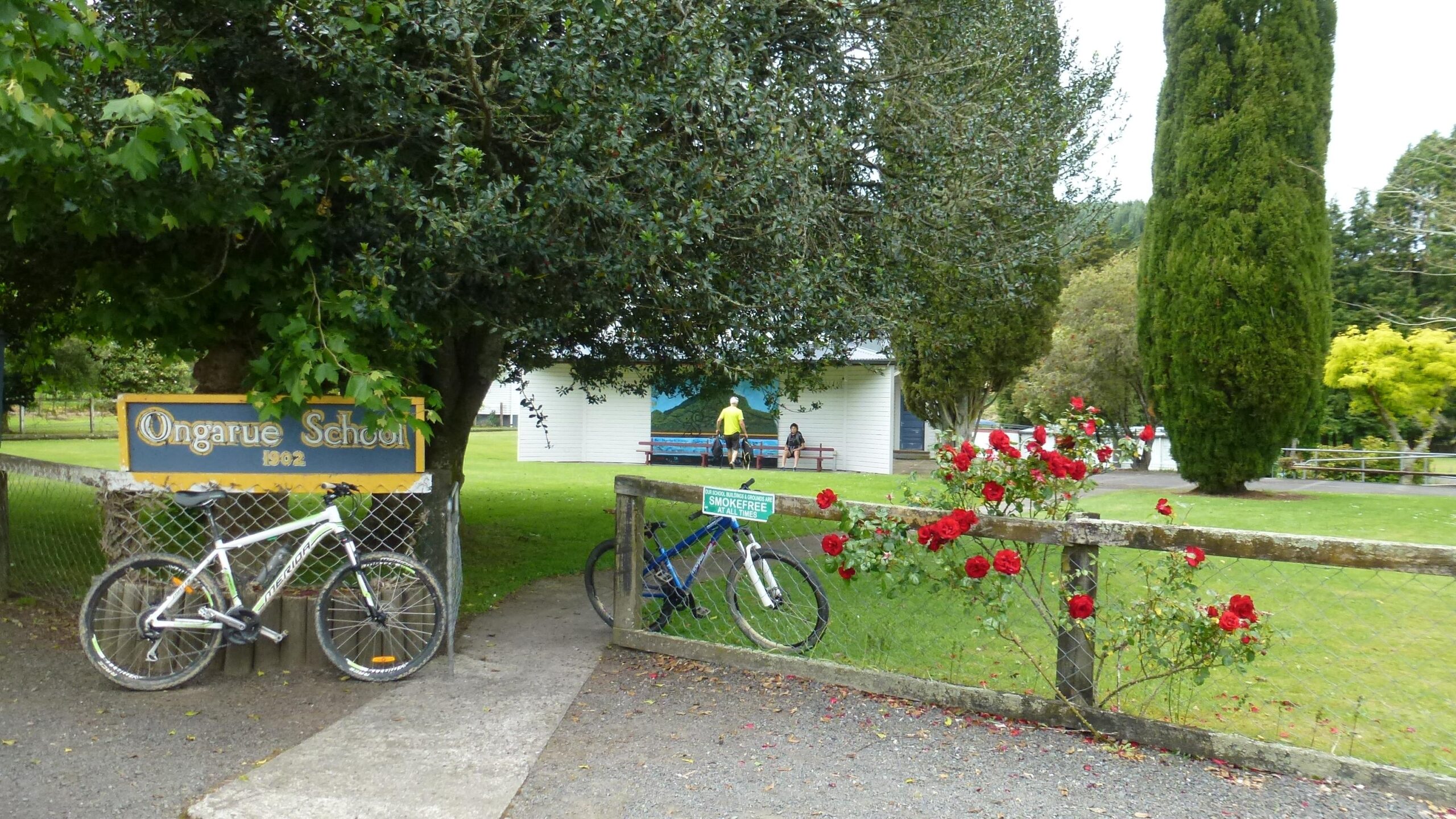 Alt text: Entrance to Ongarue School, established in 1902, featuring a sign, bicycles parked nearby, and blooming red roses along a fence, set in a green outdoor area with trees. The Timber Trail mountain bike trail.