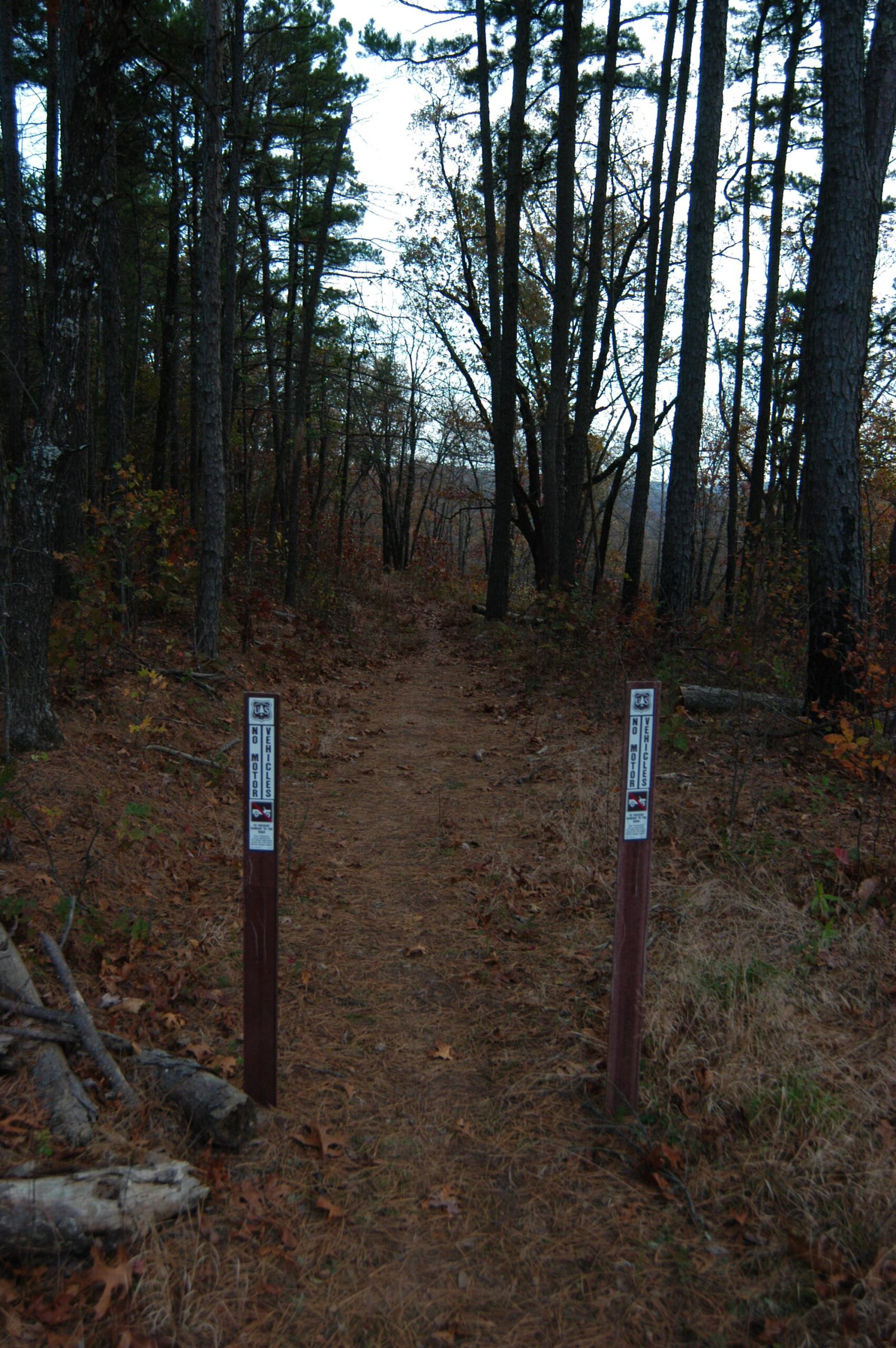 A forest trail surrounded by tall pine trees and autumn foliage, marked by two wooden posts indicating direction and trail information. The path is narrow and slightly overgrown, suggesting a peaceful outdoor hiking route. Upper Buffalo Headwaters Trail System mountain bike trail.