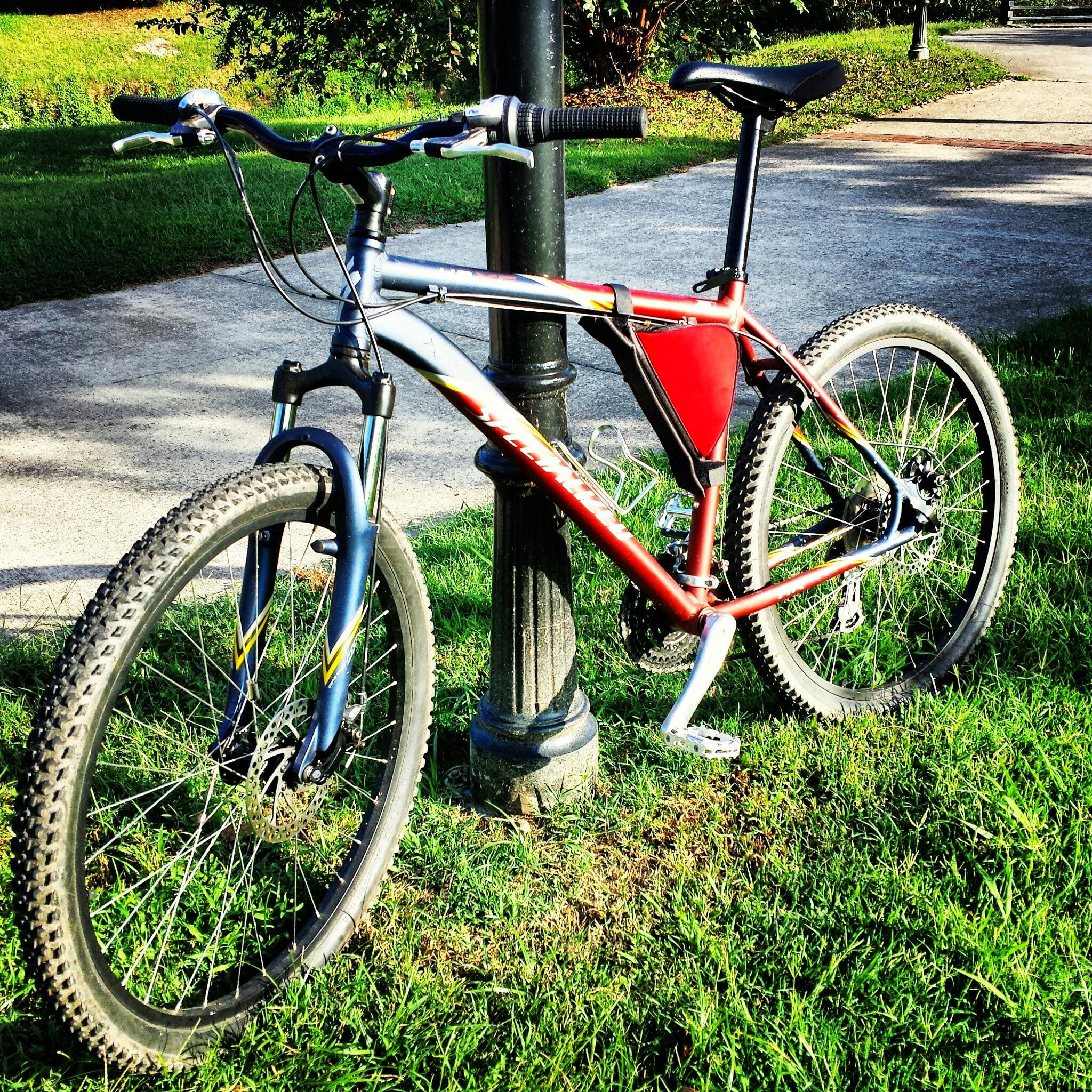 Specialized S-Works: A mountain bike leaning against a black lamp post, with a grassy area in the foreground and a paved path in the background. The bike features large tires, a suspension fork, and a red and silver frame.