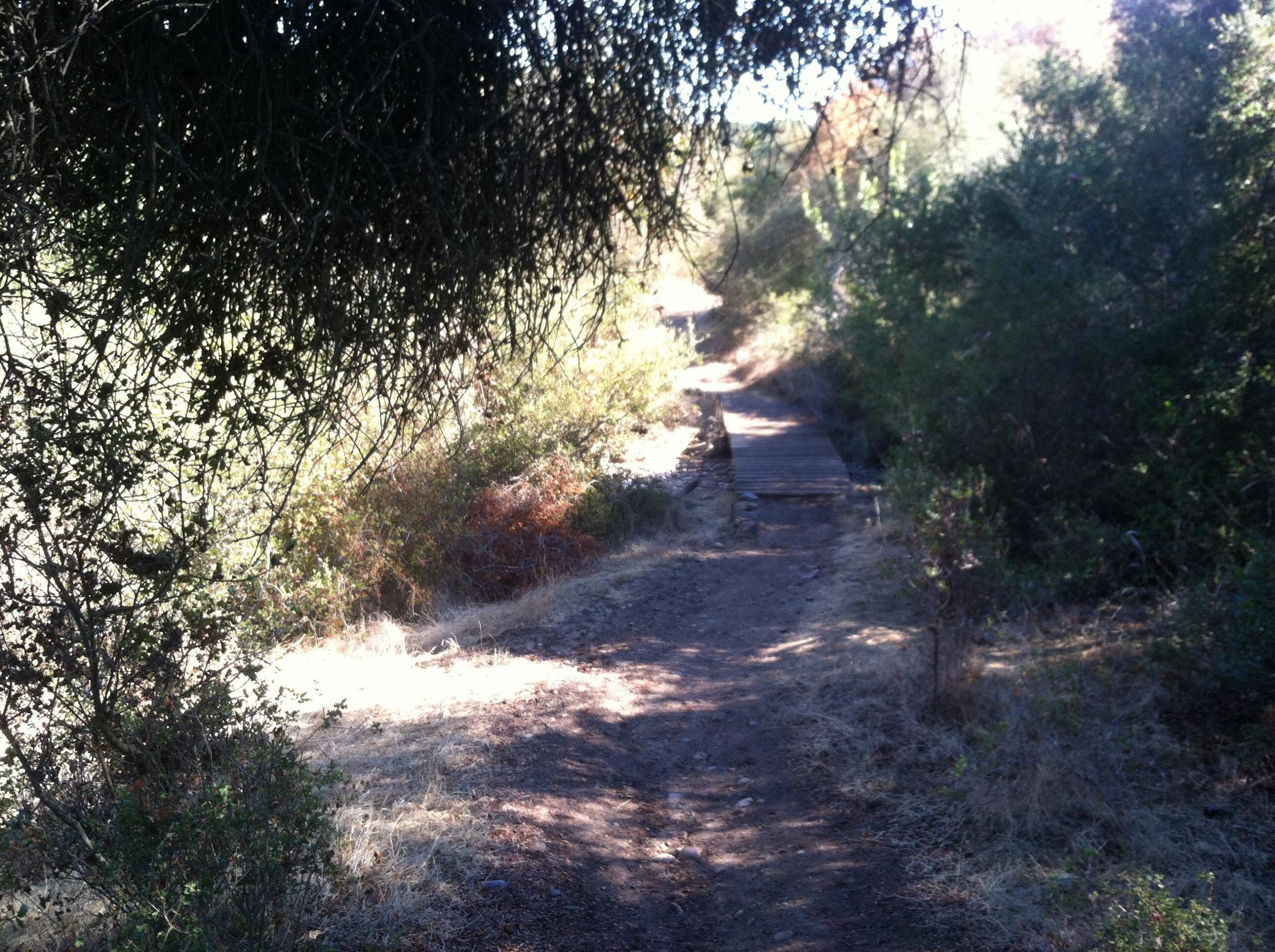 A narrow dirt path winding through a natural landscape, bordered by bushes and dry grass. A wooden bridge crosses a small area of the path, surrounded by greenery under dappled sunlight. Los Penasquitos Canyon Preserve mountain bike trail.