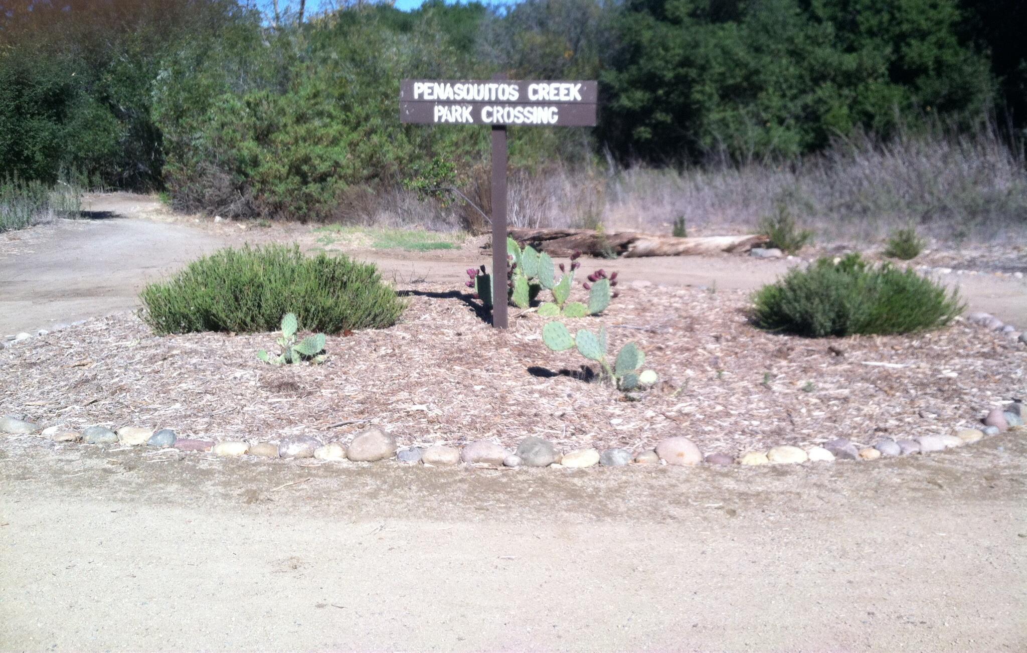 Sign indicating "Penasquitos Creek Park Crossing," surrounded by native plants and cacti, on a dirt pathway with greenery in the background. Los Penasquitos Canyon Preserve mountain bike trail.