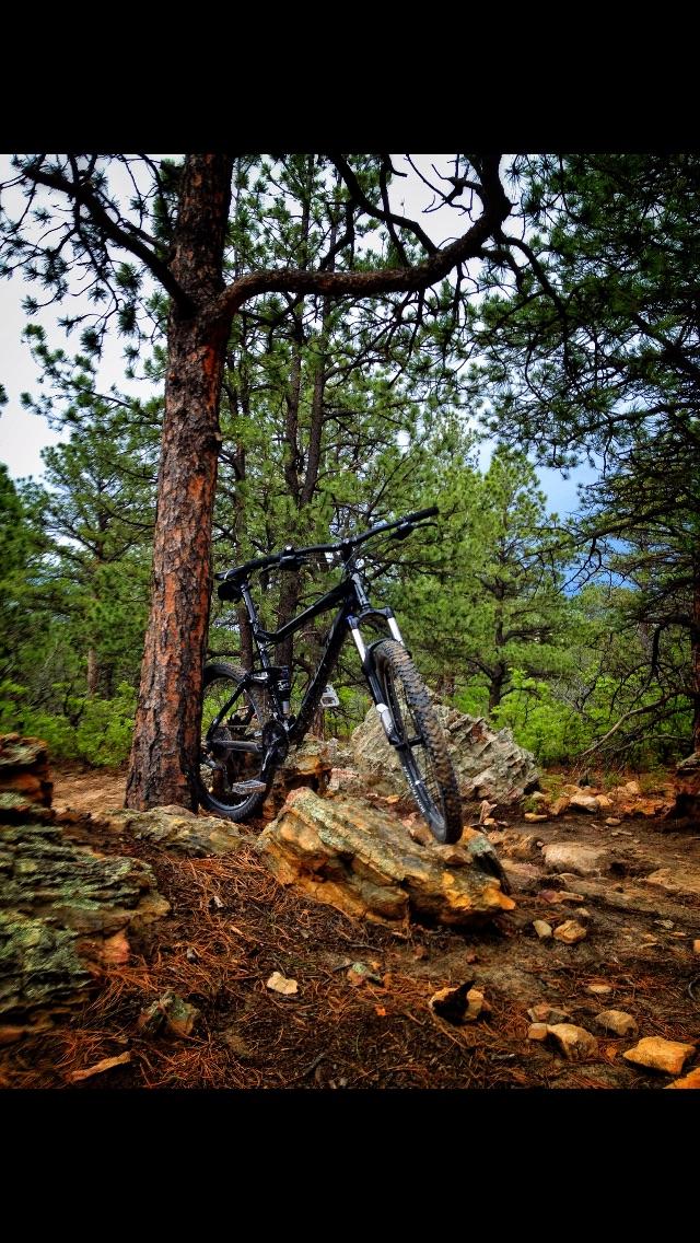 A black mountain bike leaning against a tall tree, surrounded by rocky terrain and lush greenery in a forested area. The scene captures a natural outdoor setting, ideal for mountain biking. Ute Valley Park mountain bike trail.