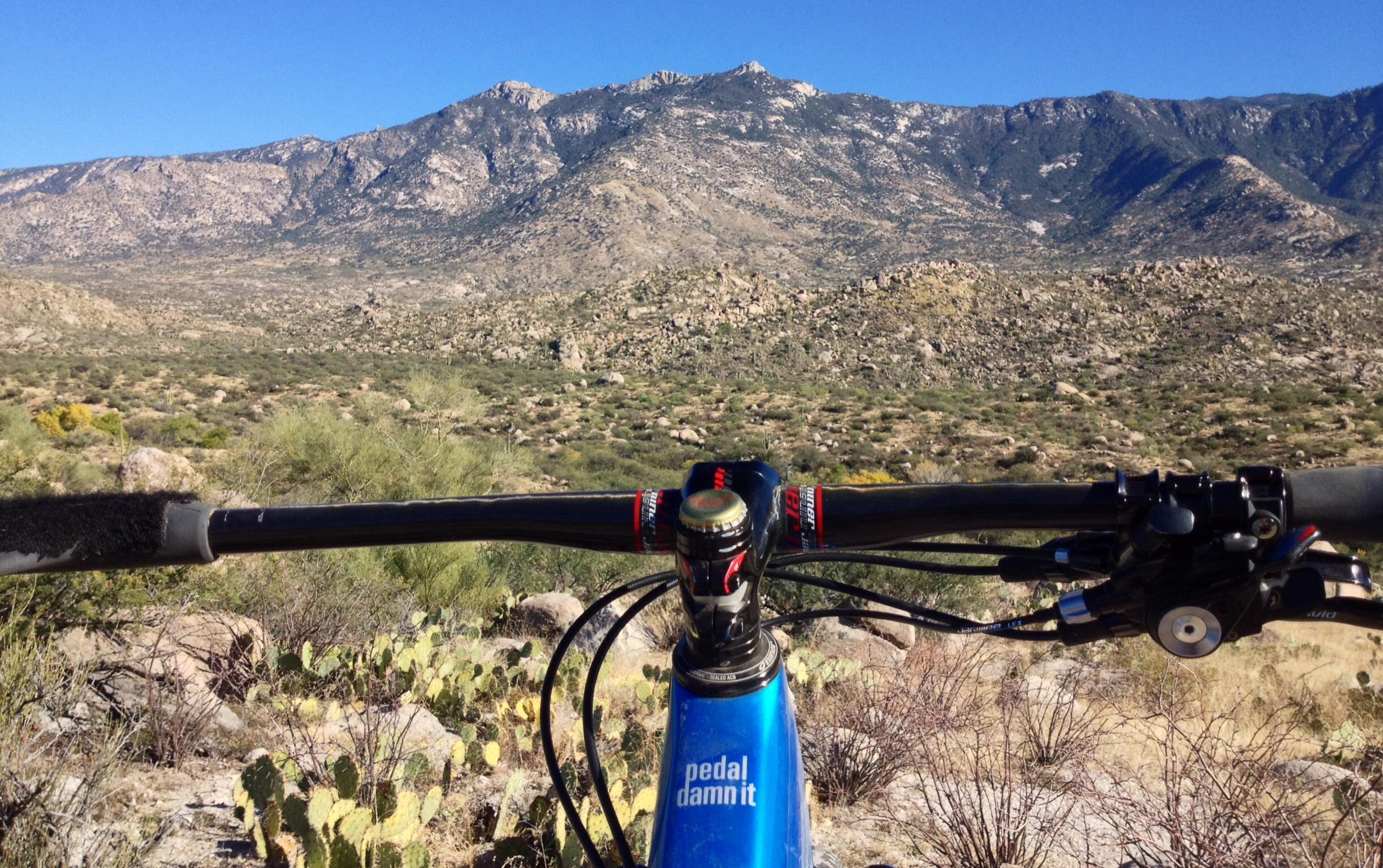 A mountain bike handlebar positioned in the foreground, overlooking a vast desert landscape with rocky terrain and distant mountains under a clear blue sky. Cacti and shrubs are visible in the foreground, emphasizing the outdoor biking experience. 50-year Trail / Golder Ranch mountain bike trail.