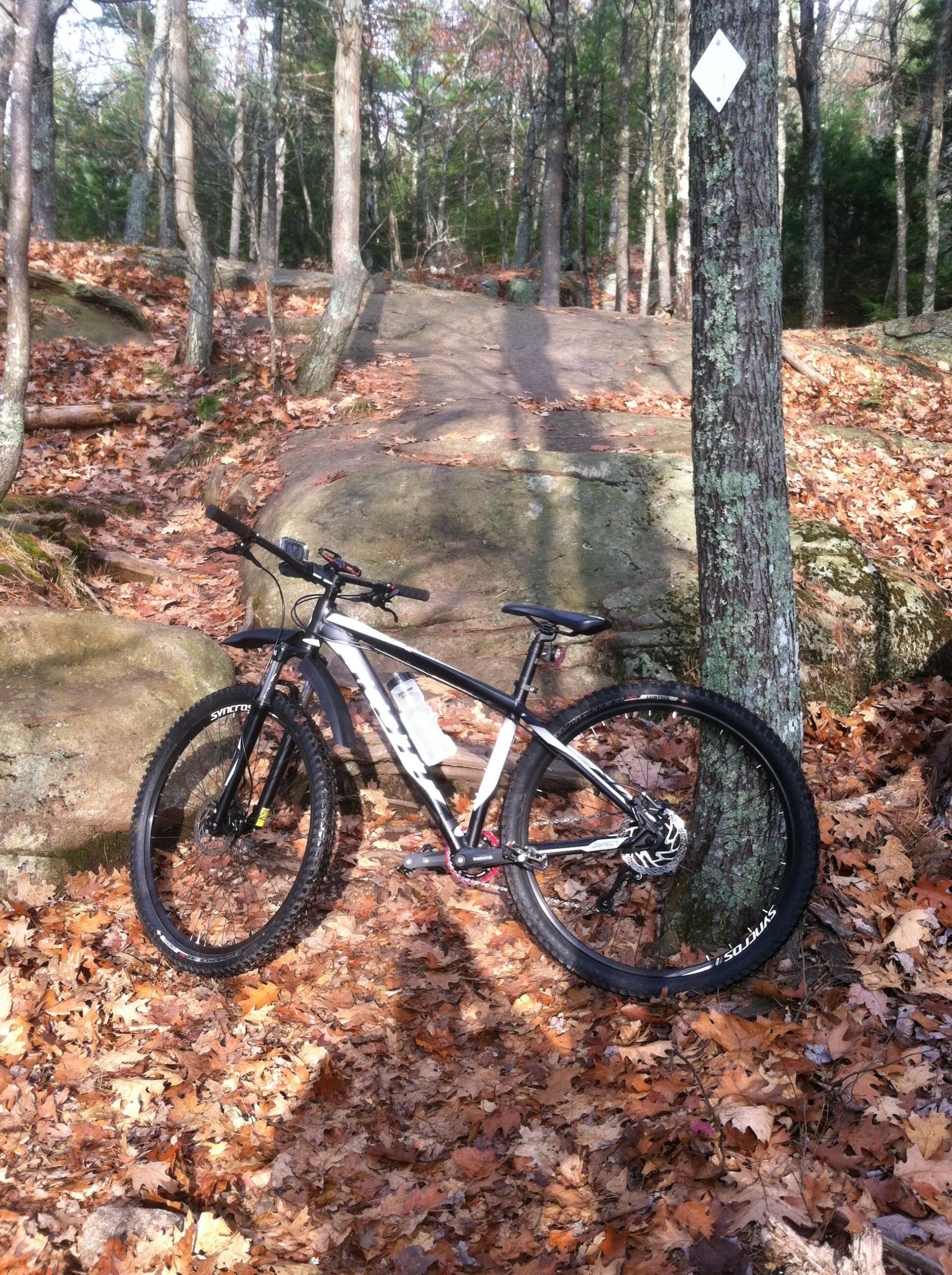 A mountain bike leaning against a tree on a forest trail covered with autumn leaves and rocky terrain. Sunlight filters through the trees, creating a natural and inviting outdoor scene perfect for cycling. Franklin Falls mountain bike trail.