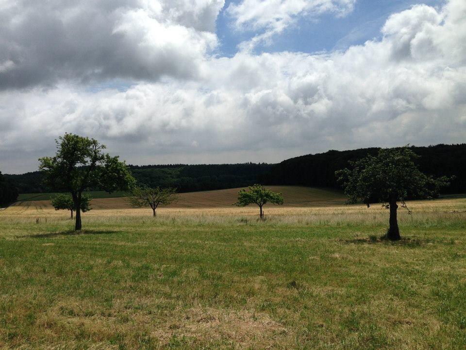 A serene landscape featuring a grassy field with three trees in the foreground, under a partly cloudy sky. In the background, rolling hills transition into a forested area, creating a peaceful rural scene. Taunus mountain bike trail.