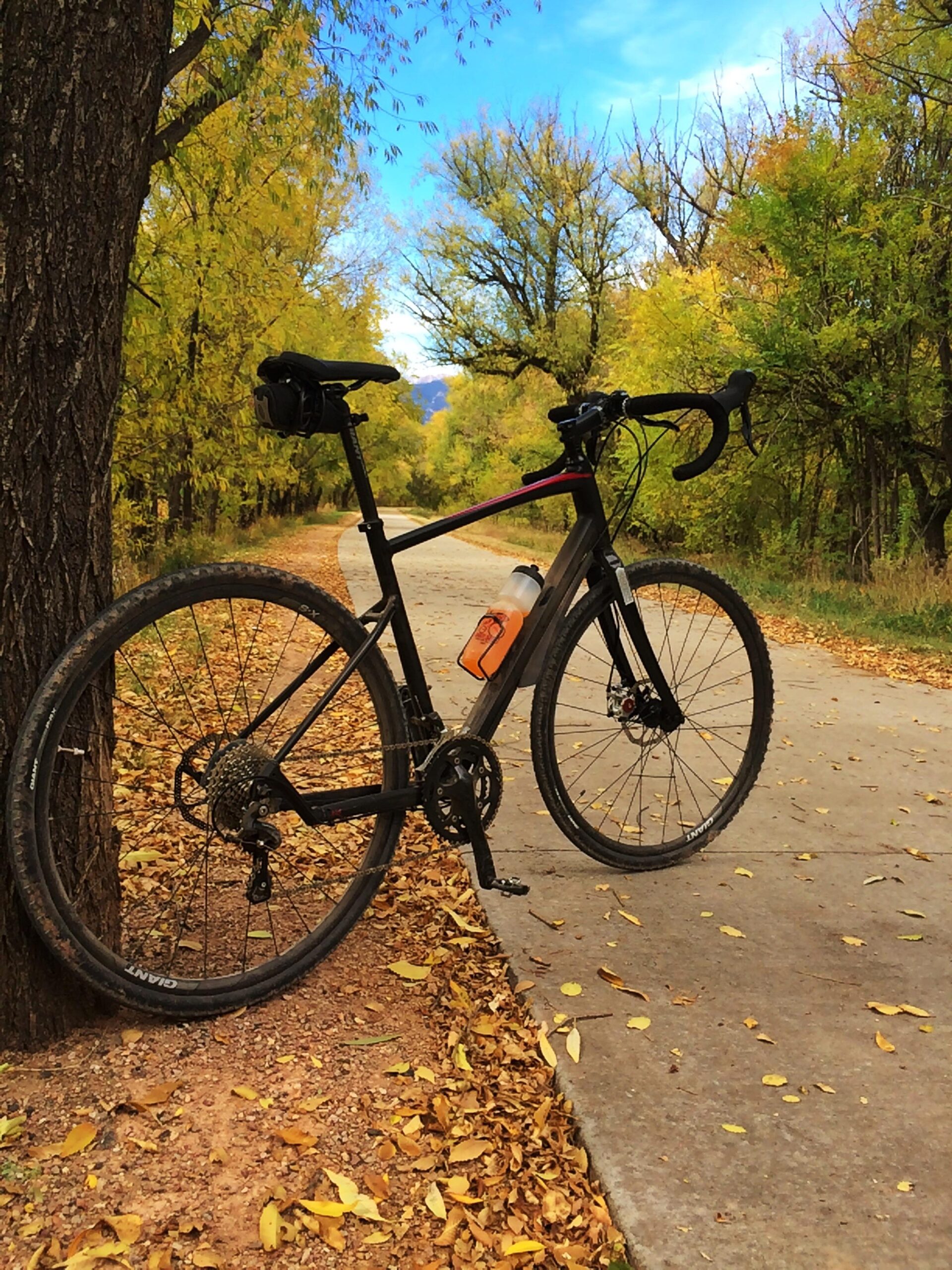 Giant Revolt 1: A black bicycle with drop handlebars leans against a tree along a scenic path. The path is lined with vibrant autumn foliage, and a water bottle is attached to the bike. The background features a clear blue sky and rolling hills.