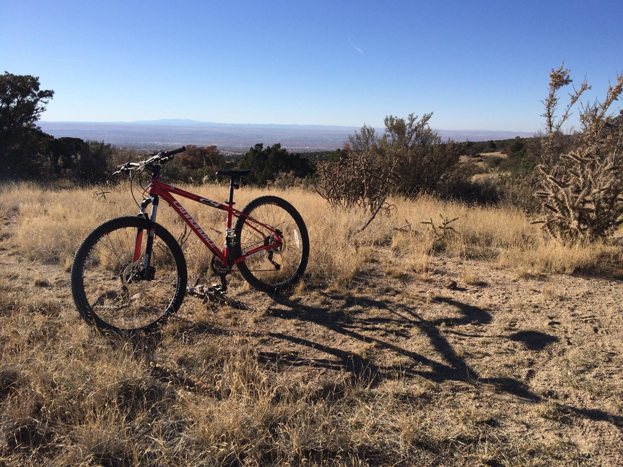 A red mountain bike resting on a rocky patch of dry grassland, with a scenic view of distant mountains and clear blue sky in the background. Sparse vegetation and cacti surround the bike, capturing a rugged outdoor landscape. Elena Gallegos Open Space / North Foothills mountain bike trail.