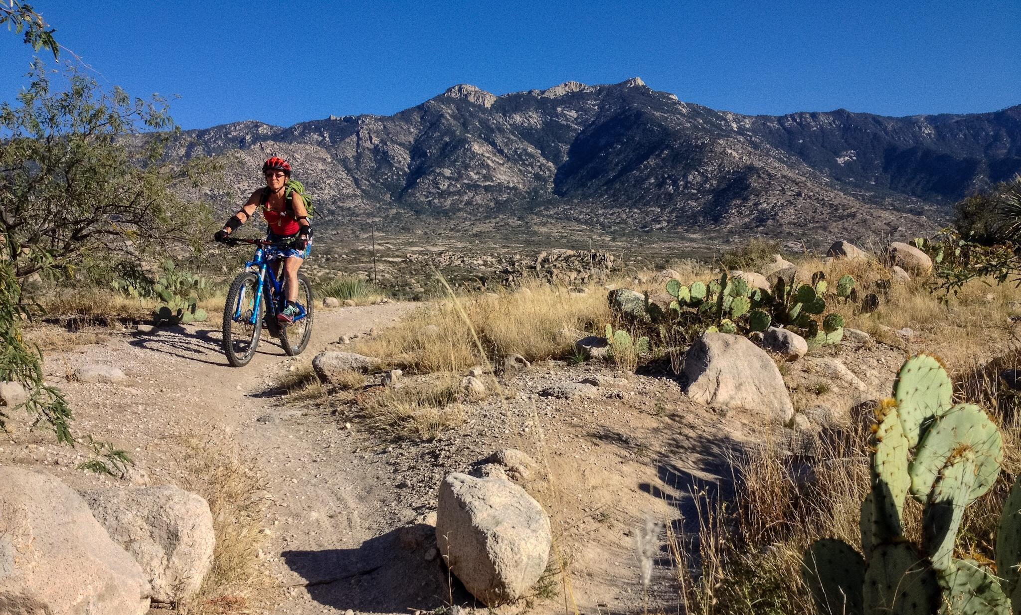 A person riding a mountain bike on a rocky trail in a desert landscape, with cacti and dry grass in the foreground and mountains in the background under a clear blue sky. 50-year Trail / Golder Ranch mountain bike trail.