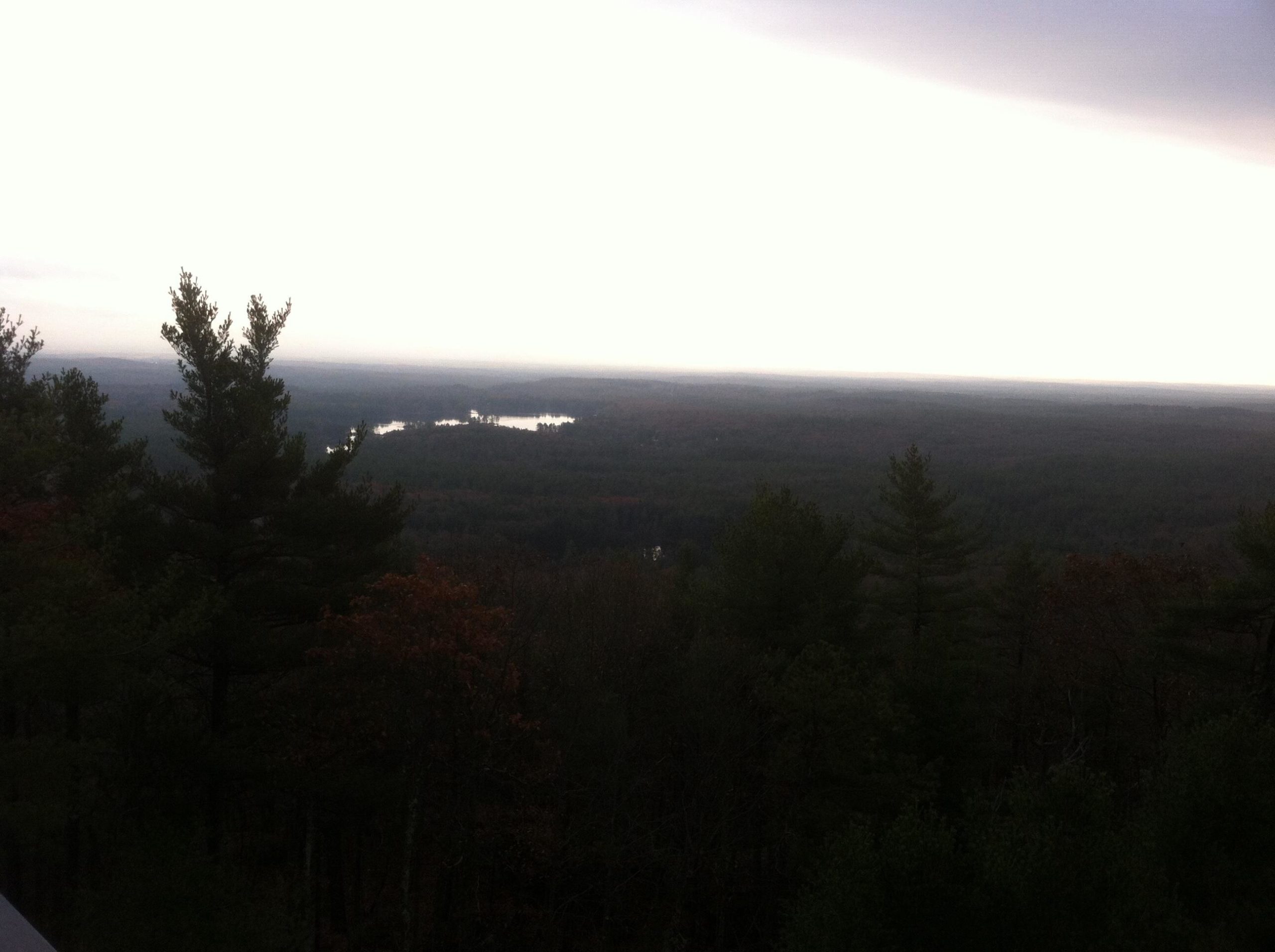 A panoramic view of a dense forest landscape under a cloudy sky, with a glimpse of a lake reflecting light in the distance. The foreground features tall evergreen trees, while the expansive terrain stretches toward the horizon, where trees blend into the overcast sky. Franklin Falls mountain bike trail.
