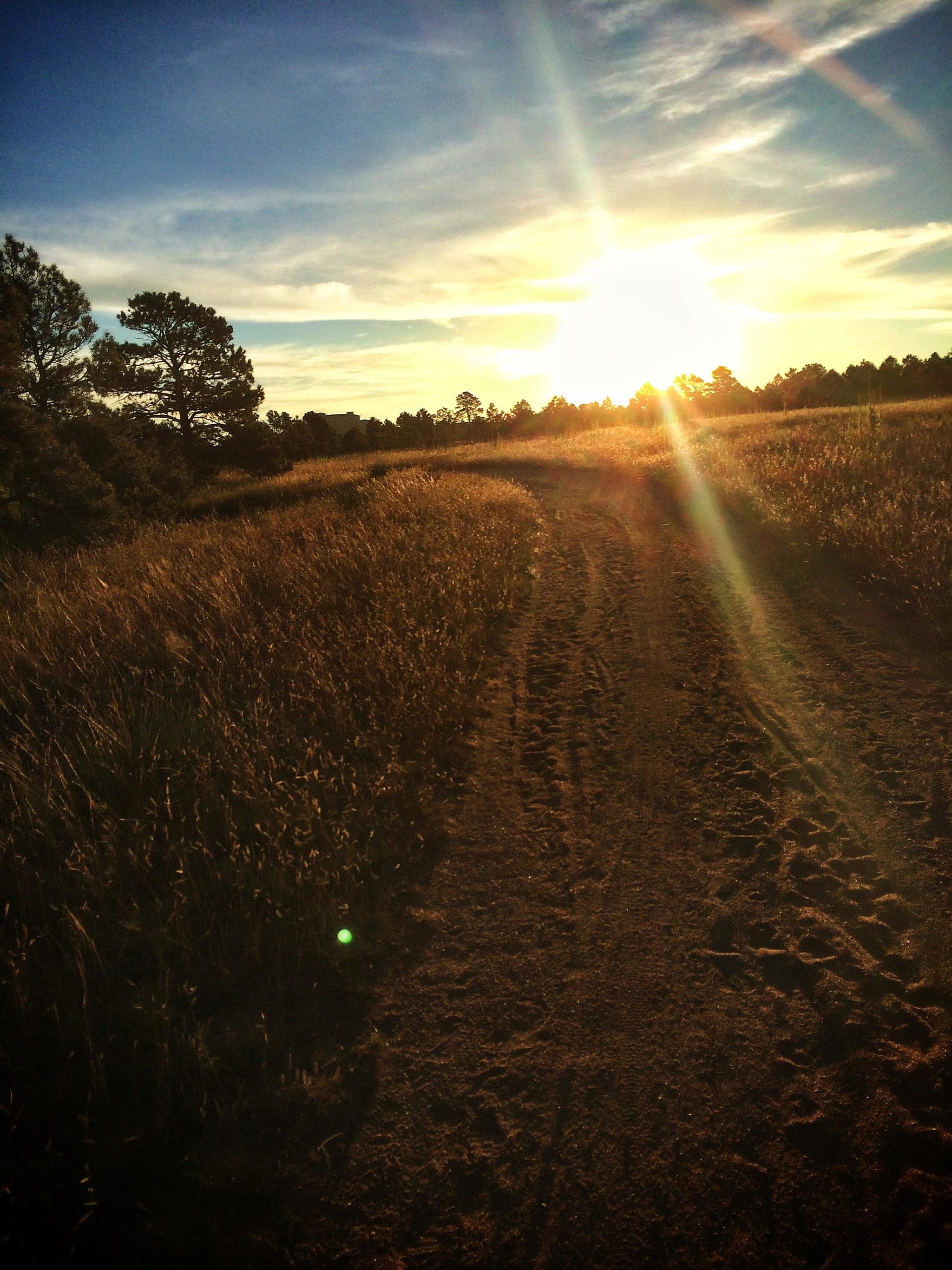 A sun sets over a dirt path winding through tall grass and trees, with golden light illuminating the scene and creating a tranquil atmosphere. Santa Fe Trail mountain bike trail.