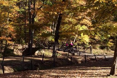 A wooden footbridge crosses a small stream in a vibrant autumn forest, surrounded by trees with colorful leaves in shades of yellow, orange, and red. Two figures in pink jackets are walking on the bridge, enjoying the natural scenery. The ground is covered with fallen leaves, enhancing the autumn atmosphere. Tannehill Historic Ironworks State Park mountain bike trail.