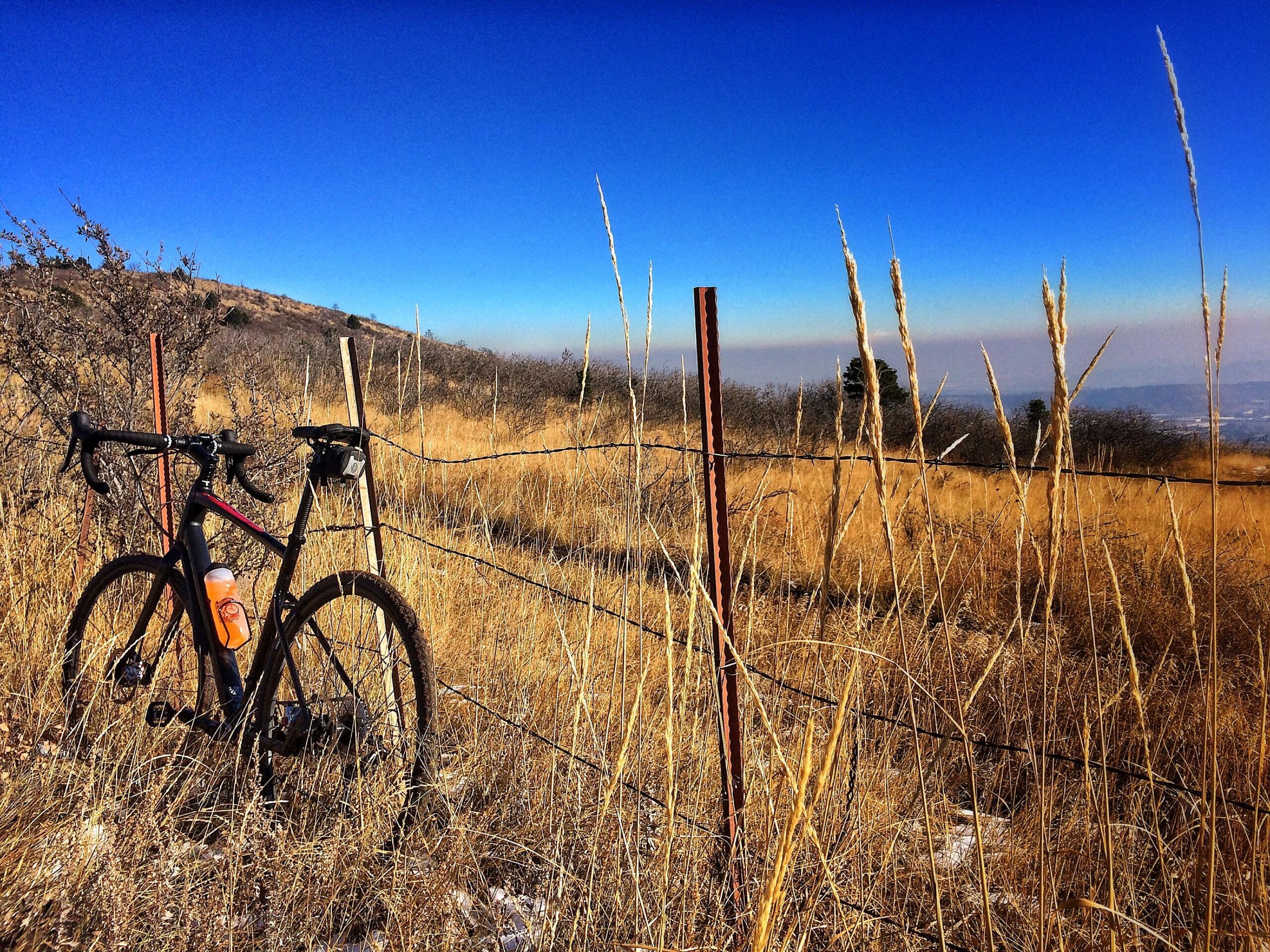 Giant Revolt 1: A black bicycle with racing handlebars parked next to a barbed-wire fence, set against a backdrop of tall, dry grass and a clear blue sky. The landscape features rolling hills in the distance. A water bottle is attached to the bike.