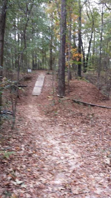 A wooded pathway leading through a forest, with a wooden ramp on the left side. The ground is covered in fallen leaves, and trees are visible in the background, indicating a natural outdoor setting. Fort Benning MTB Trail mountain bike trail.