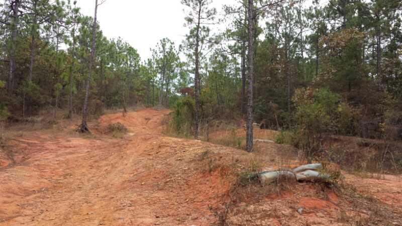 A rugged dirt path winding through a forest of pine trees, with reddish soil and scattered underbrush on either side. The scene is set on an overcast day, creating a subdued lighting atmosphere in the natural setting. Fort Benning MTB Trail mountain bike trail.