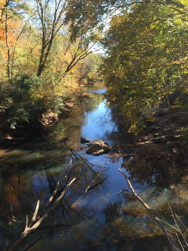 A tranquil river scene surrounded by trees in vibrant autumn colors. The water reflects the greenery and golden leaves, with smooth rocks visible in the shallow areas. Fallen branches and rocks line the riverbank, creating a peaceful natural setting. Yellow River mountain bike trail.