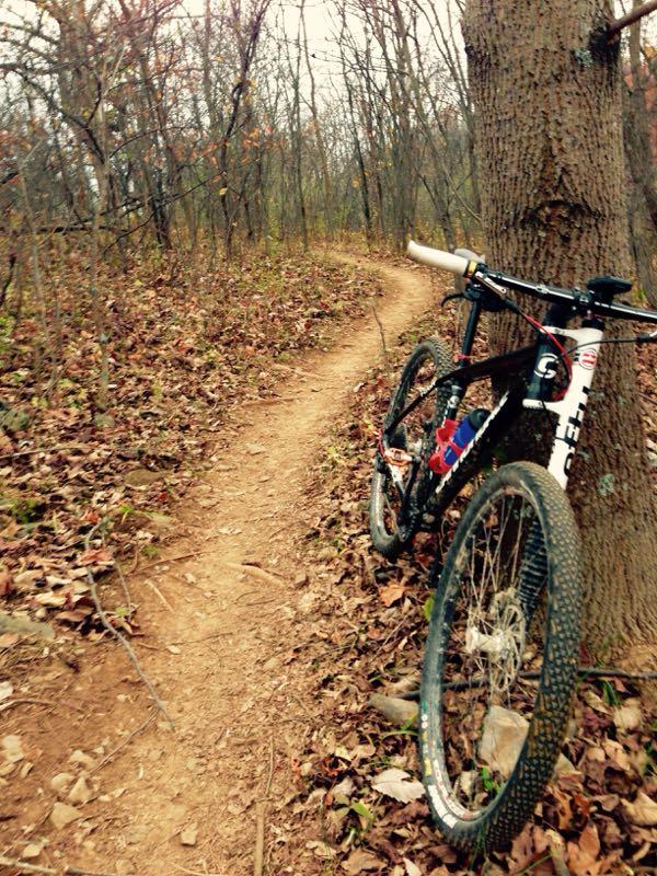 A mountain bike resting against a tree alongside a winding dirt trail surrounded by autumn foliage in a wooded area. Poor House Farm Park mountain bike trail.