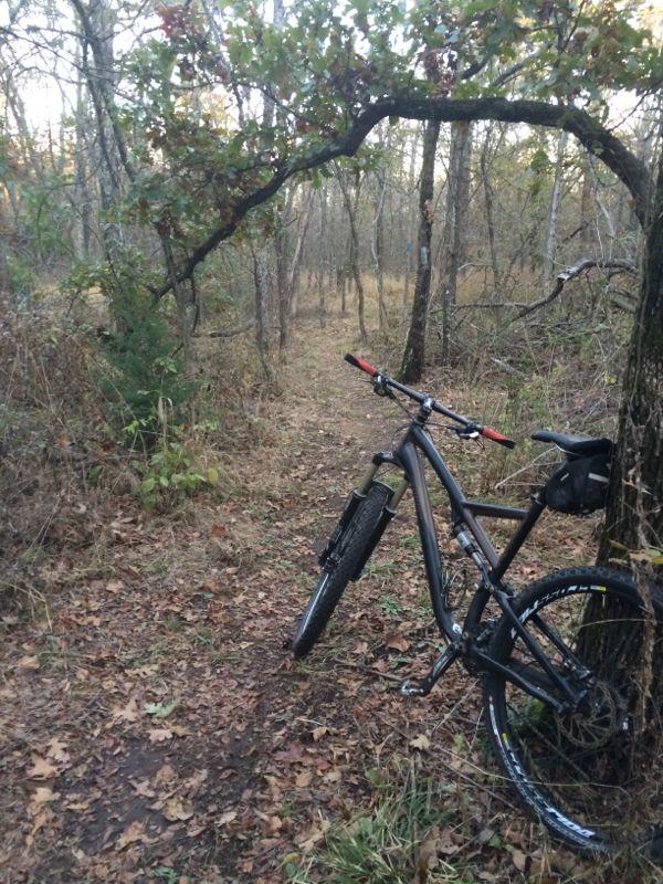 A mountain bike resting against a tree on a dirt trail surrounded by trees and autumn foliage. The pathway is narrow and winding, leading deeper into a wooded area. Claremore mountain bike trail mountain bike trail.
