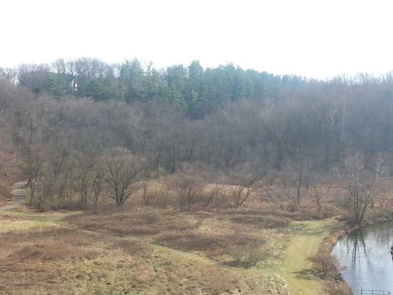 A scenic view of a wooded area with bare trees and a winding path, against a backdrop of evergreen trees. The landscape features patches of brown grass and a gently flowing river on the right side, under a cloudy sky. Marsh Creek Park mountain bike trail.