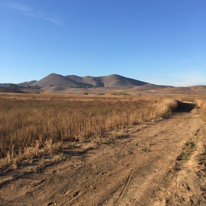 A wide landscape featuring rolling brown hills under a clear blue sky, with a dirt path winding through tall, dry grass in the foreground. Martha Mclean-Anza Park mountain bike trail.