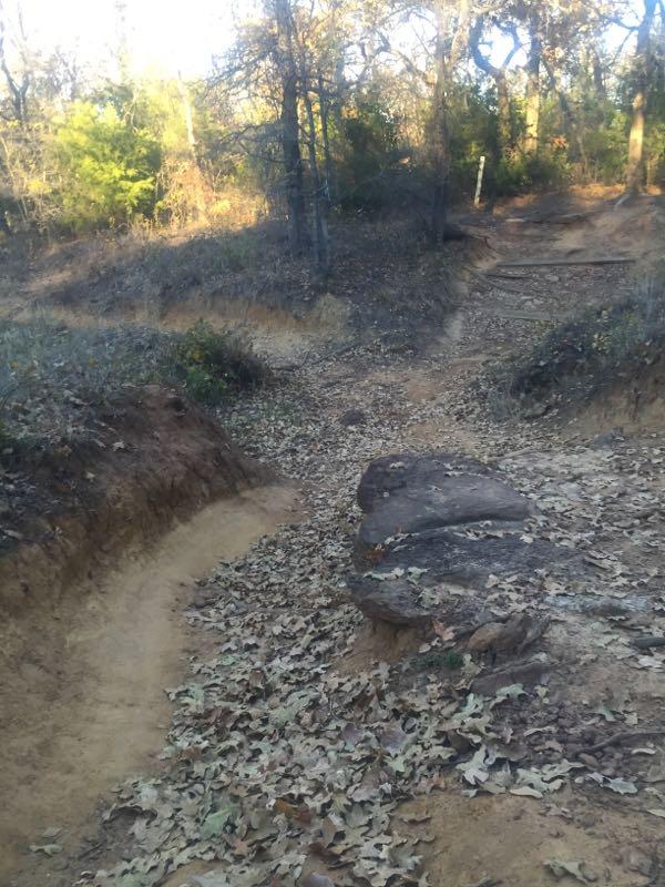 A rocky path winding through a wooded area, surrounded by fallen leaves and trees, with two narrow trails diverging in the background. Horseshoe mountain bike trail.