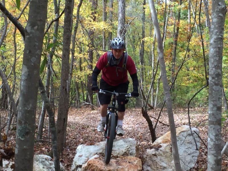 A mountain biker navigating over rocks on a forest trail, surrounded by trees with autumn leaves. The rider is wearing a helmet and casual biking gear, showcasing an active outdoor adventure in a natural setting. Harbison State Forest mountain bike trail.