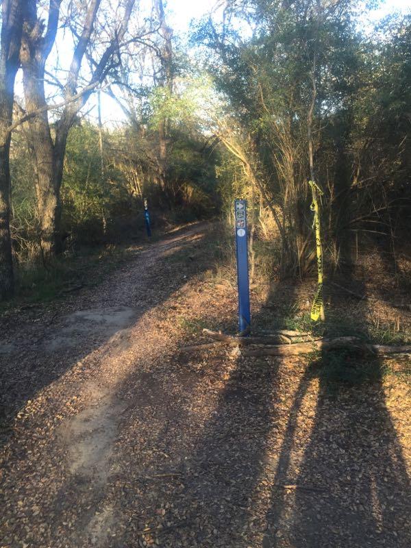 A wooded trail with a dirt pathway surrounded by trees and shrubs. Two blue trail markers are visible along the path, and a section of caution tape hangs from a bush. The ground is covered in fallen leaves and sunlight filters through the branches, creating dappled shadows on the trail. Gateway Park mountain bike trail.