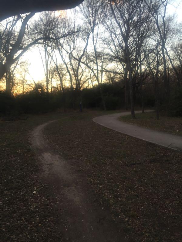 A serene outdoor scene featuring a winding path through a wooded area, with bare trees and a soft sunset glow in the background. The left path is dirt, and the right path is paved, both leading into the natural landscape. Gateway Park mountain bike trail.