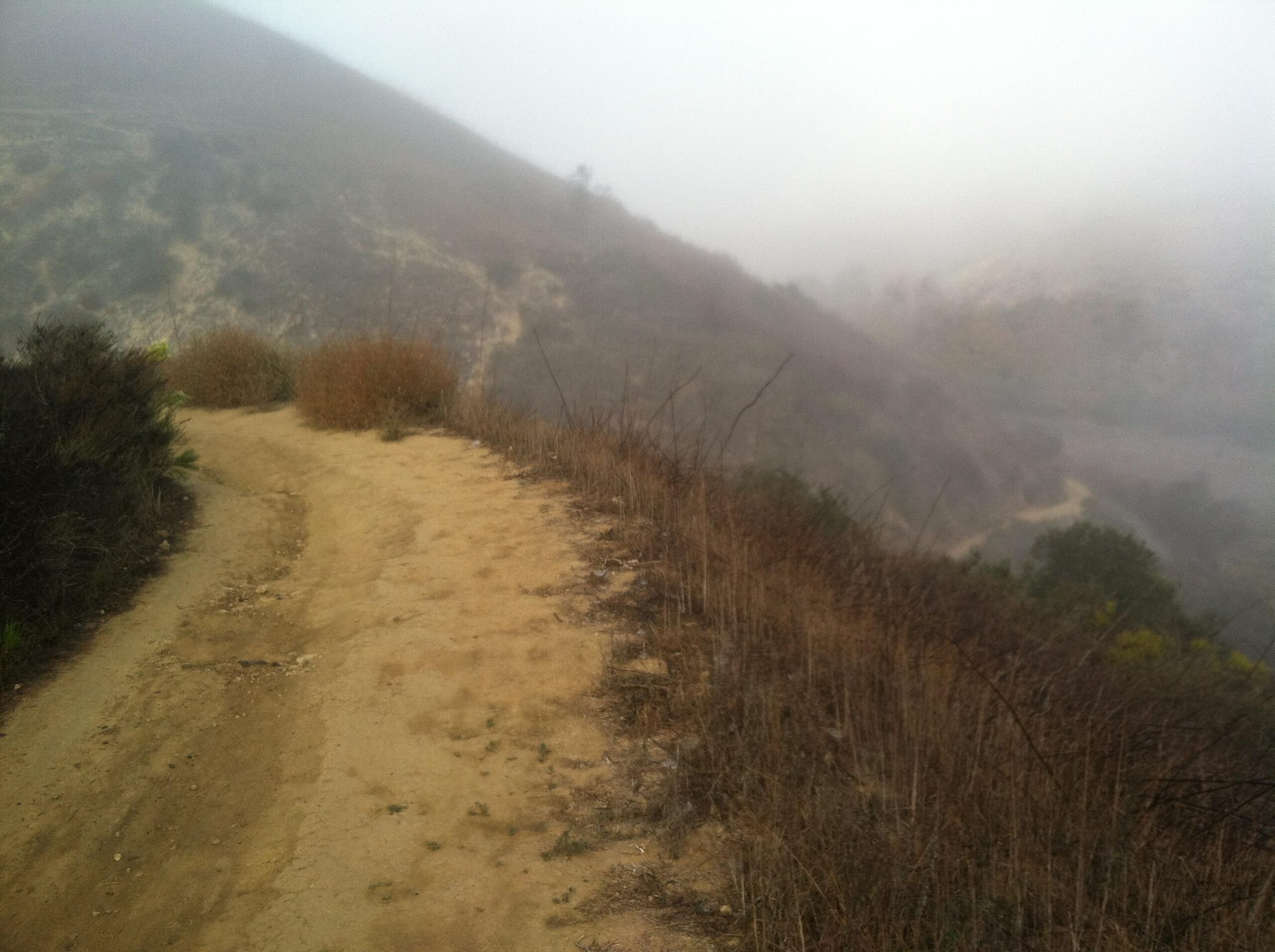 A foggy landscape featuring a winding dirt path along a hillside, surrounded by sparse vegetation and dry grass. The mist obscures the distant hills, creating a serene and mysterious atmosphere. Lopez Canyon Trail mountain bike trail.