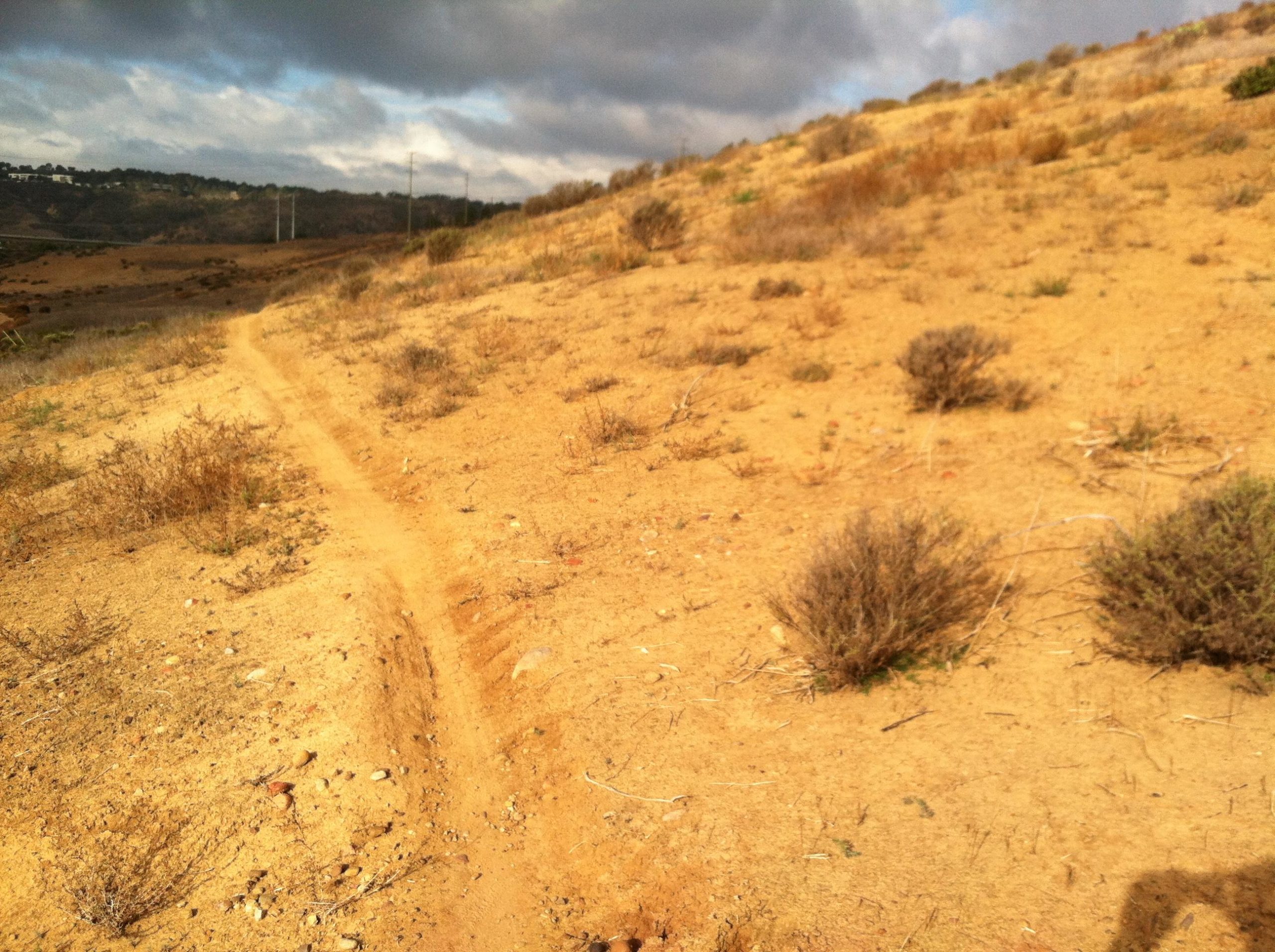 A winding dirt path through a dry, sandy landscape, scattered with small shrubs and rocks. The scene is set under a cloudy sky, with hills visible in the background. Los Penasquitos Canyon Preserve mountain bike trail.