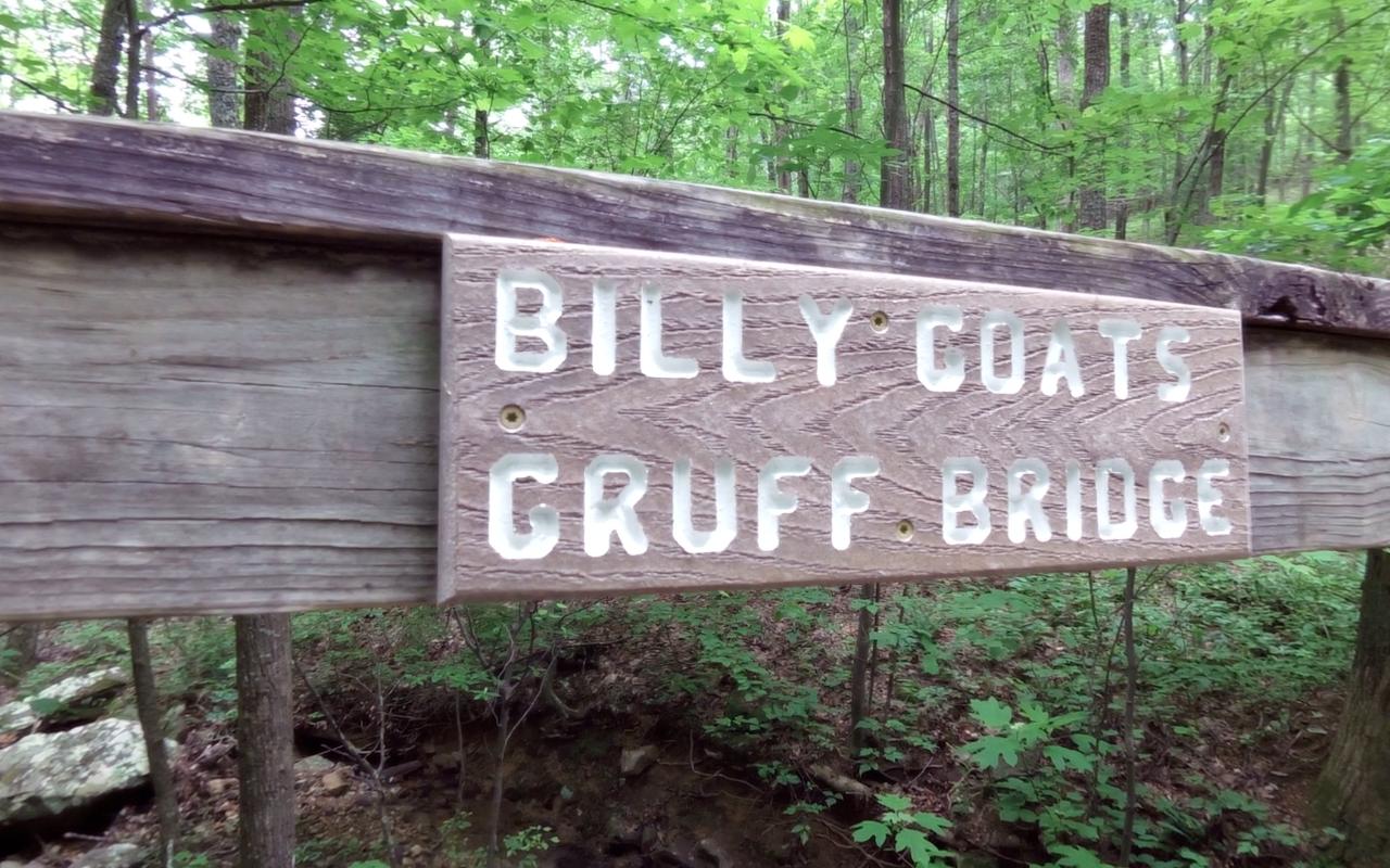 Wooden sign reading "BILLY COATS GRUFF BRIDGE" in white lettering, set against a backdrop of lush green trees and foliage. Oak Mountain State Park mountain bike trail.