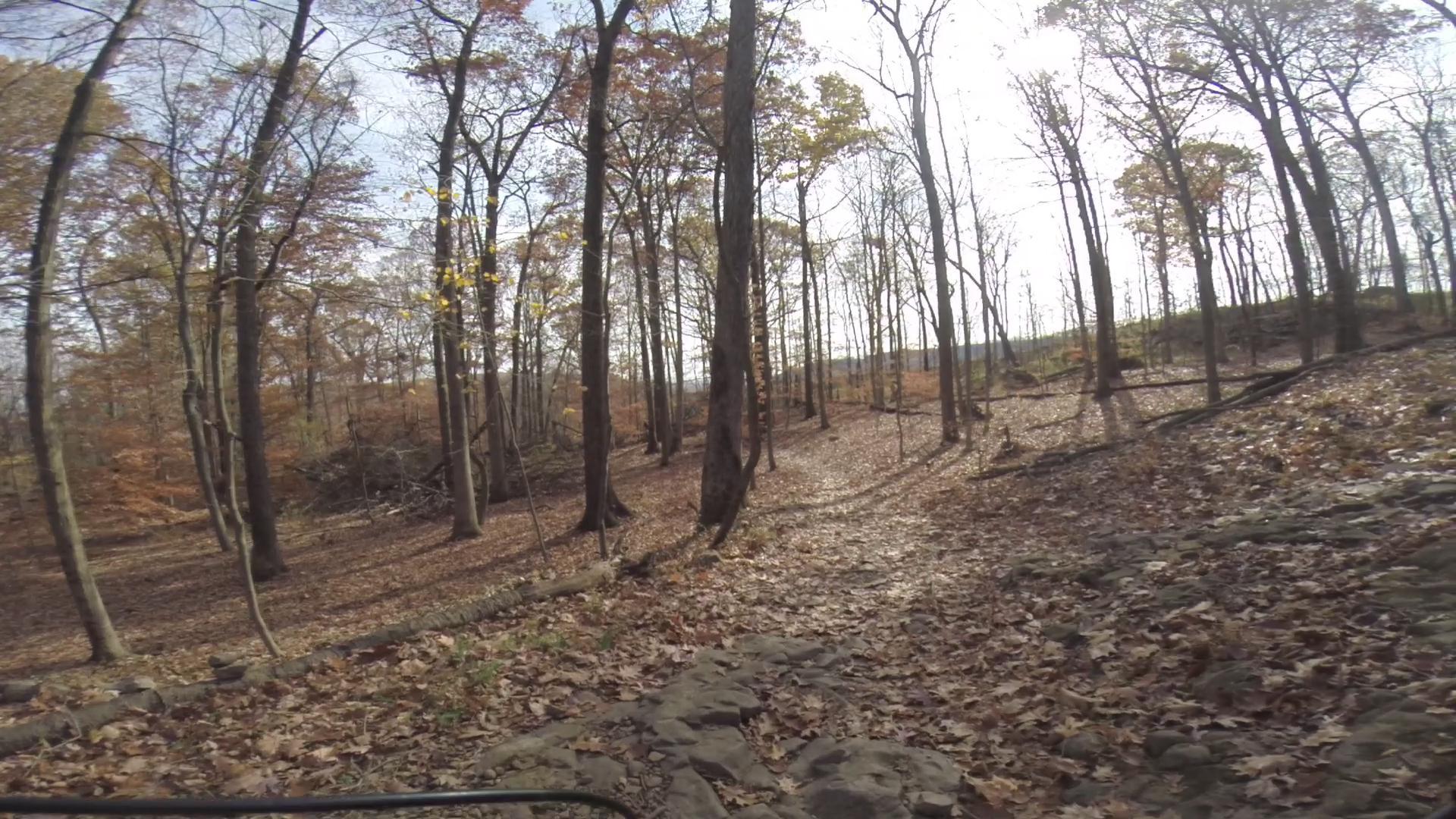 A scenic wooded area in autumn, featuring tall trees with sparse foliage and a ground covered in fallen leaves. The sunlight filters through the branches, casting soft shadows on a rocky path meandering through the forest. Chimney Rock mountain bike trail.