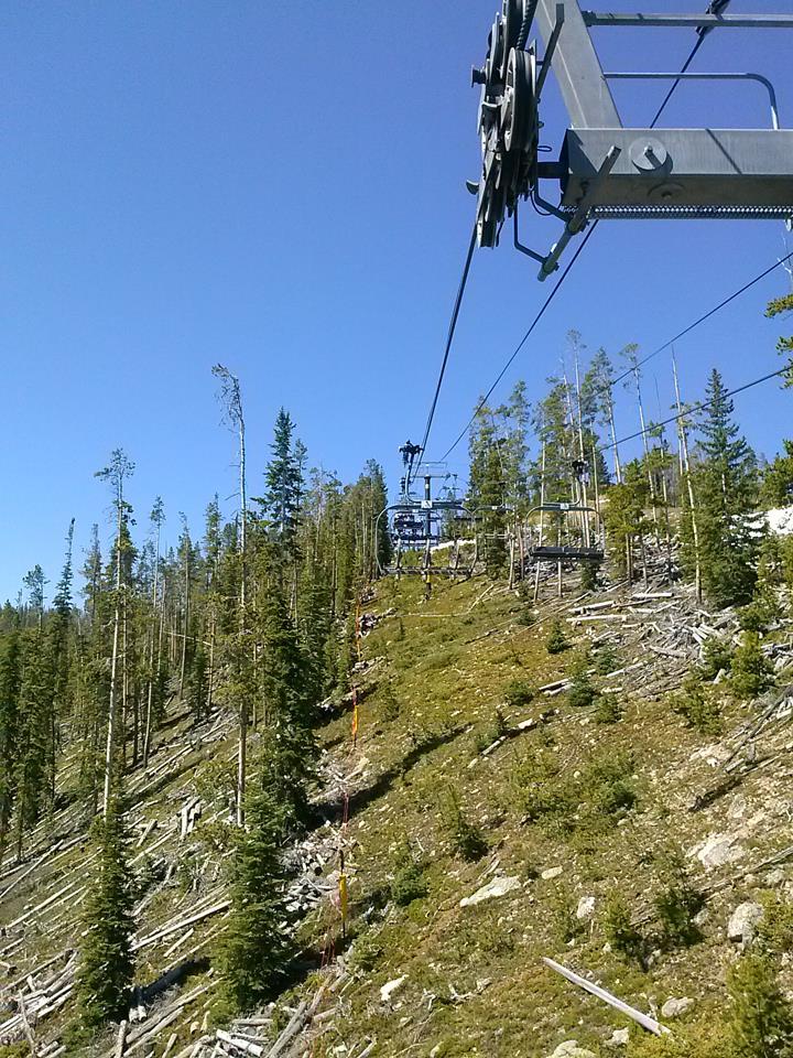 A scenic view of a ski lift traversing a mountainous terrain, surrounded by green pine trees and fallen logs. The clear blue sky is visible in the background, highlighting the natural beauty of the landscape. Trestle Bike Park mountain bike trail.
