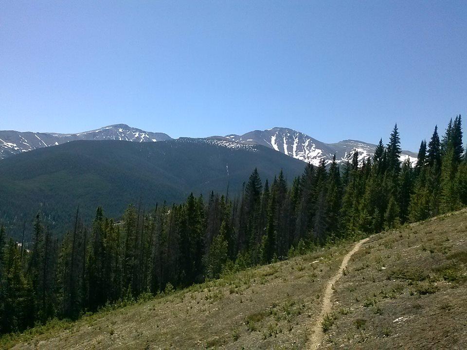 A scenic mountain landscape featuring snow-capped peaks in the background, lush green forests, and a winding dirt trail leading through a grassy area under a clear blue sky. Trestle Bike Park mountain bike trail.