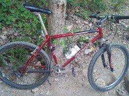 Specialized hardrock: A red mountain bike parked beside a tree on a dirt trail, surrounded by greenery and fallen leaves. The bike features knobby tires and a water bottle holder.