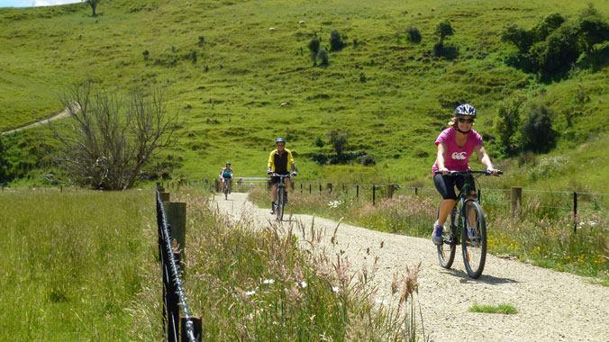 Three cyclists riding on a gravel path surrounded by lush green hills and wildflowers on a sunny day. The scene captures a sense of outdoor adventure and enjoyment in nature. Clutha Gold Trail mountain bike trail.