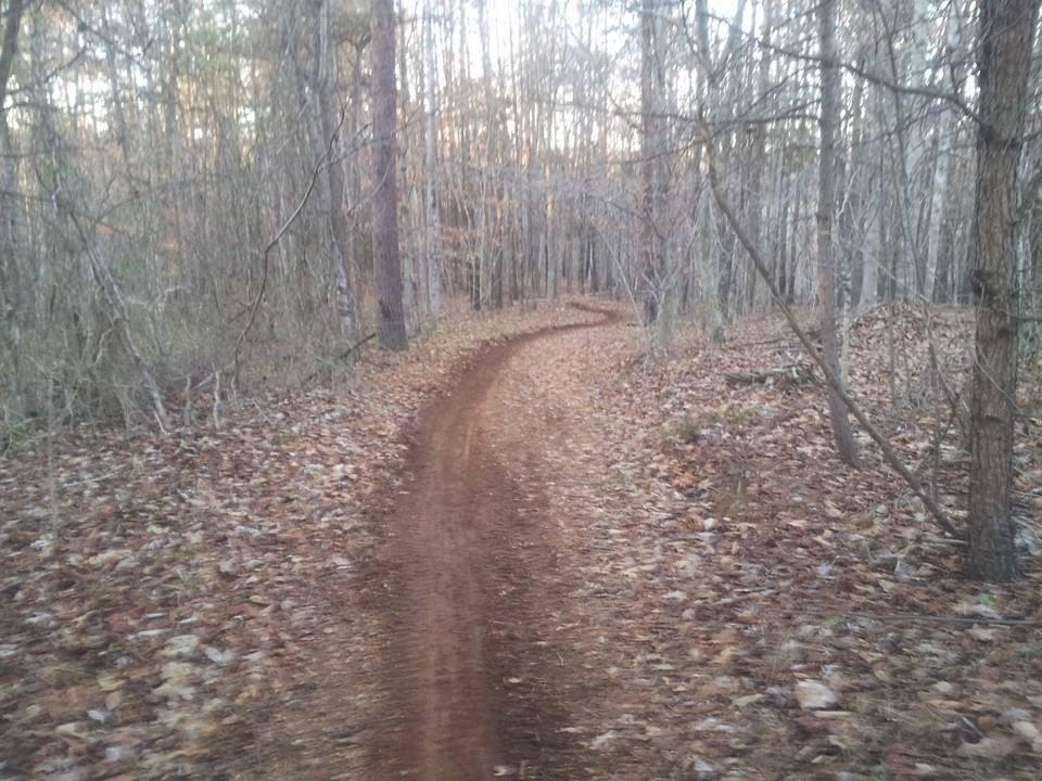 A winding dirt trail surrounded by bare trees and fallen leaves, leading into a serene forest setting during autumn. Mountain Laurel Trails mountain bike trail.