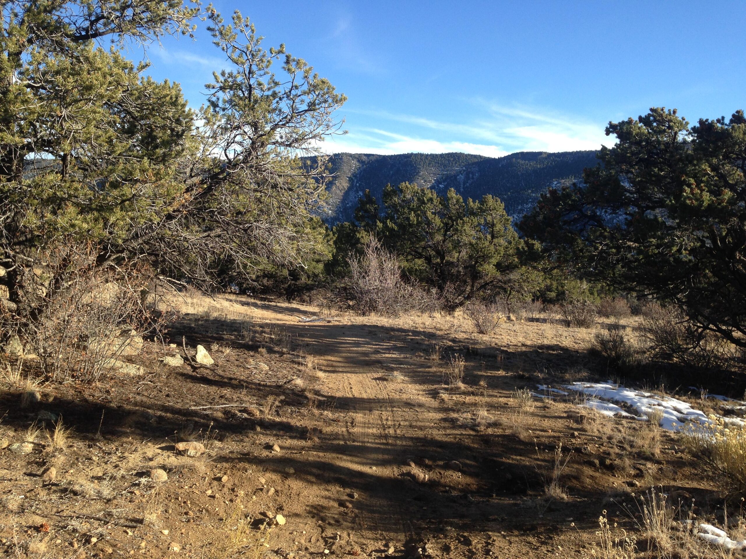 A dirt trail winding through a landscape of sparse vegetation and trees, with mountains in the background under a clear blue sky. Patches of grass and a small remnant of snow are visible along the trail. Trail #1450.A mountain bike trail.
