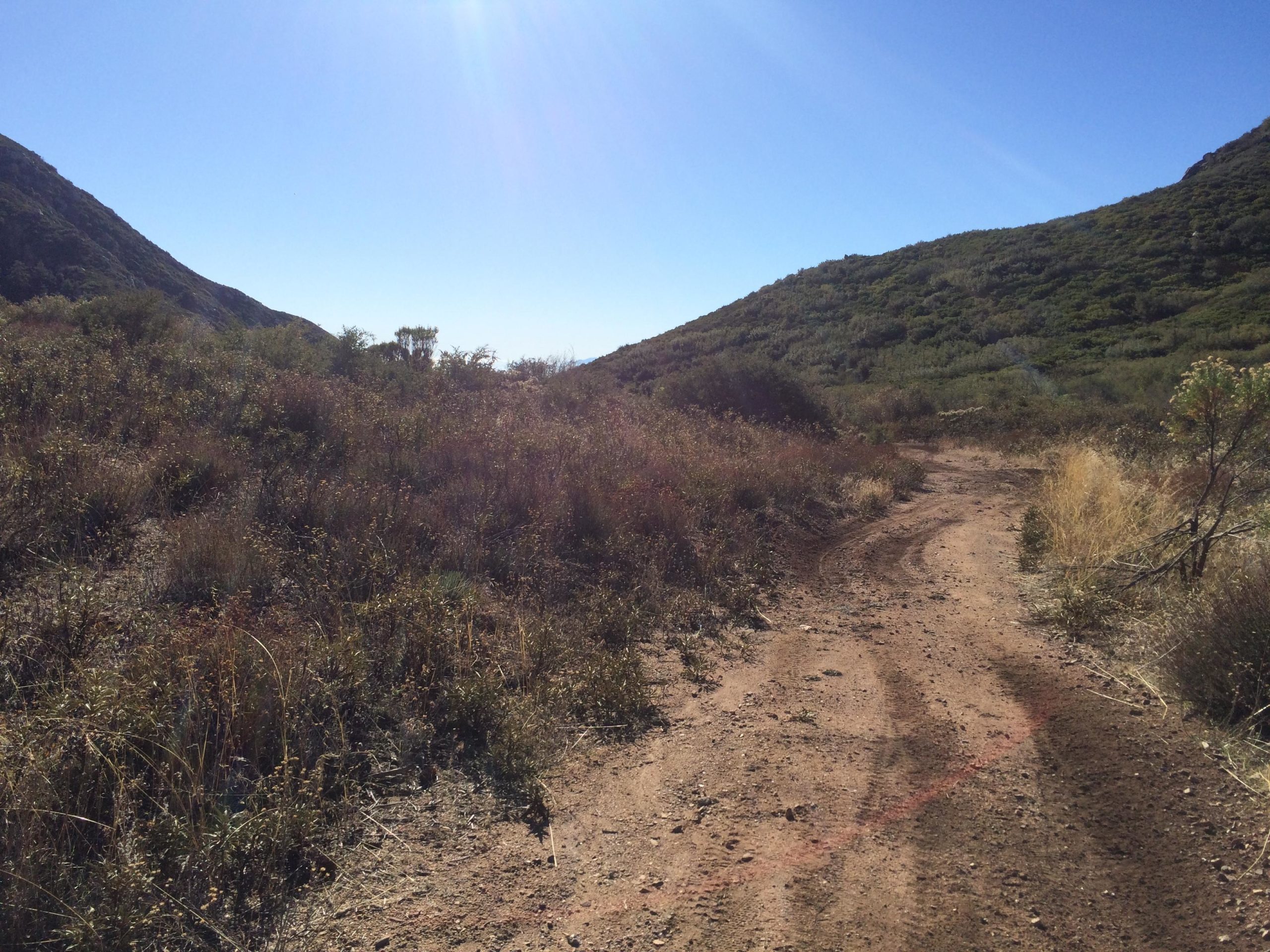 A dirt path winding through a mountainous landscape, bordered by various shrubs and grasses under a clear blue sky. Sunlight shines brightly from the upper left, illuminating the terrain and creating shadows on the ground. Barrett Stoddard mountain bike trail.