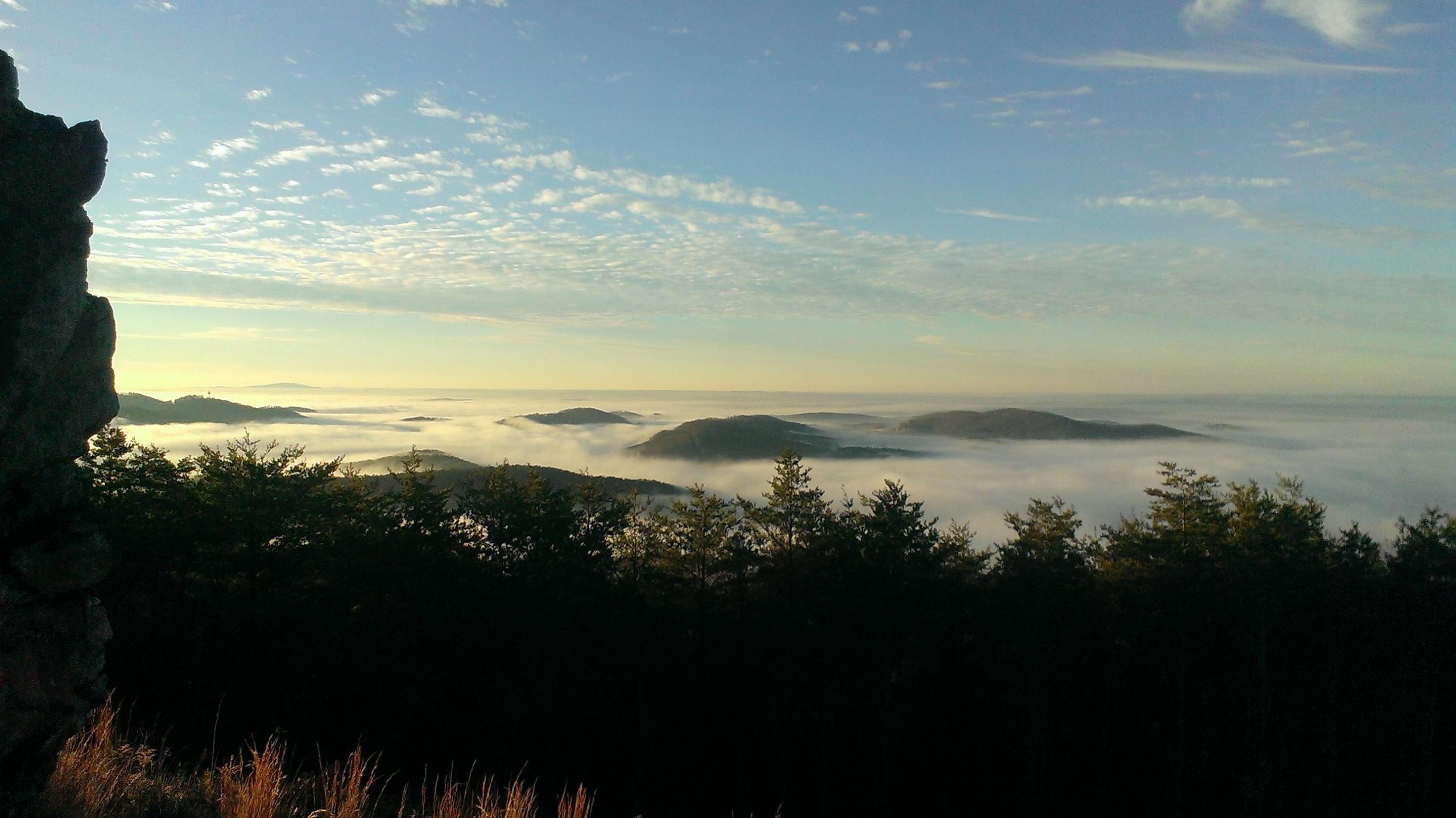 A scenic view of rolling mountains shrouded in fog, under a clear blue sky with wispy clouds. In the foreground, trees frame the scene, adding a touch of greenery to the tranquil landscape. The sun's light softly illuminates the mist-covered hills in the distance. Pine Mountain Recreation Area mountain bike trail.