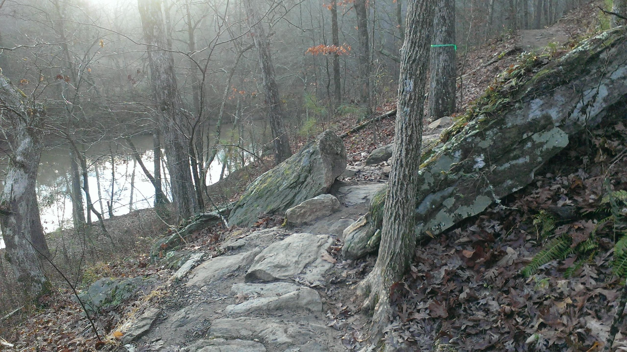 A rocky hiking trail surrounded by trees and underbrush, with a gentle fog hovering over a nearby river. The scene captures the natural beauty of a wooded area in a tranquil setting. Taylor Randahl Memorial Mountain Bike Trails At Olde Rope Mill Park mountain bike trail.