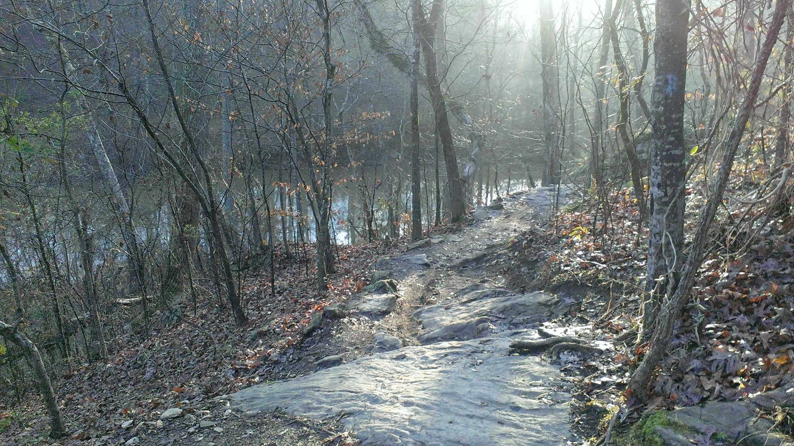 A serene forest path winding along a river, surrounded by bare trees and scattered autumn leaves, with soft morning light filtering through the mist. Taylor Randahl Memorial Mountain Bike Trails At Olde Rope Mill Park mountain bike trail.