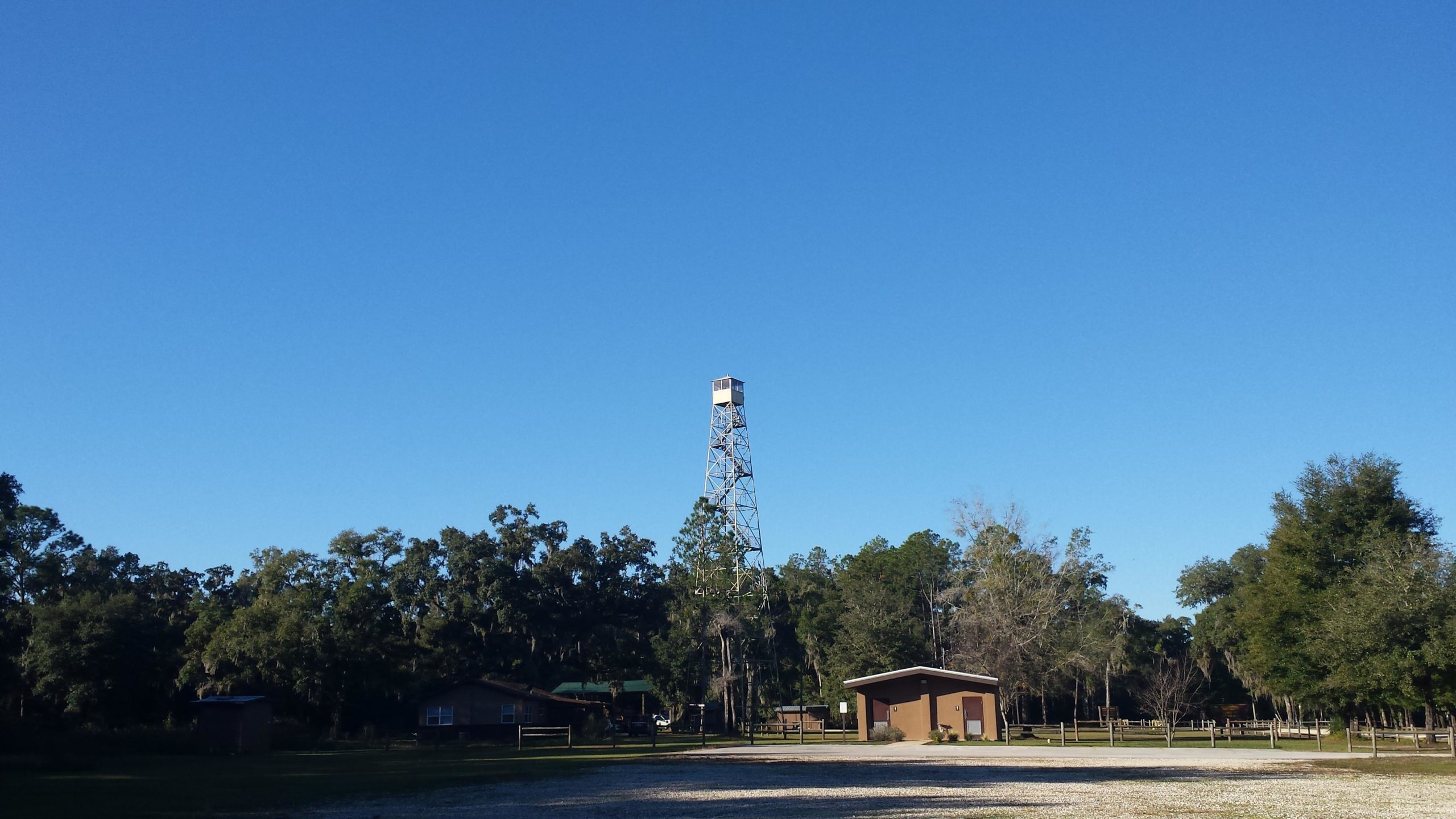 A clear blue sky above a tall metal observation tower, surrounded by trees and an open grassy area. In the foreground, two small buildings are visible, with a gravel path leading towards them. Withlacoochee State Forest: Croom Section mountain bike trail.