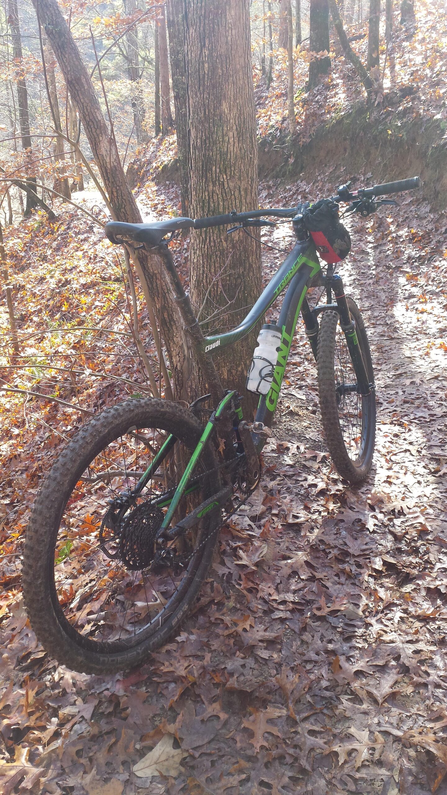 A mountain bike resting against a tree on a leaf-covered forest trail, with sunlight filtering through the trees. The bike features a black and green frame and a water bottle attached to it. Blankets Creek mountain bike trail.